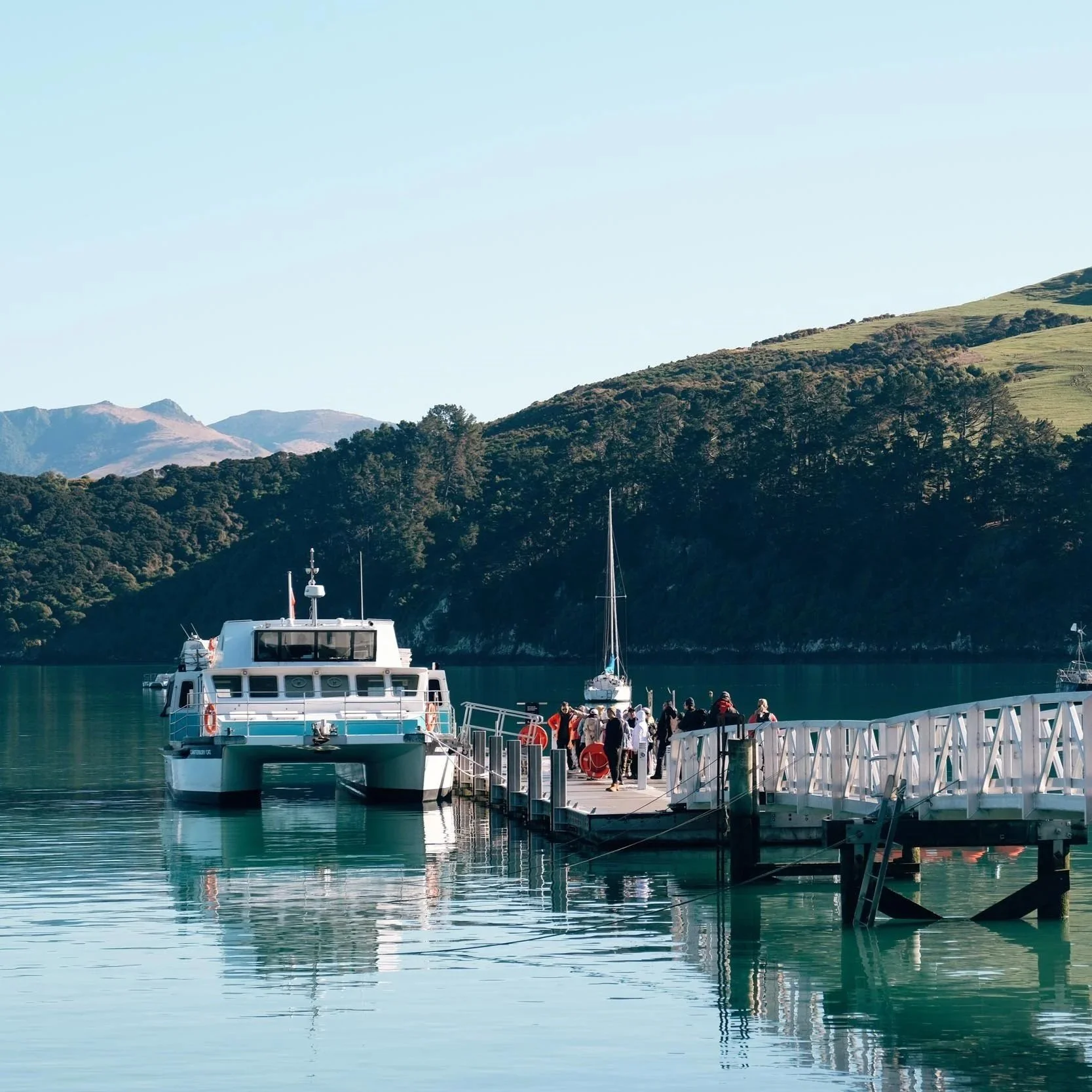 Black Cat Cruises - copyright photography Julia Atkinson-Dunn