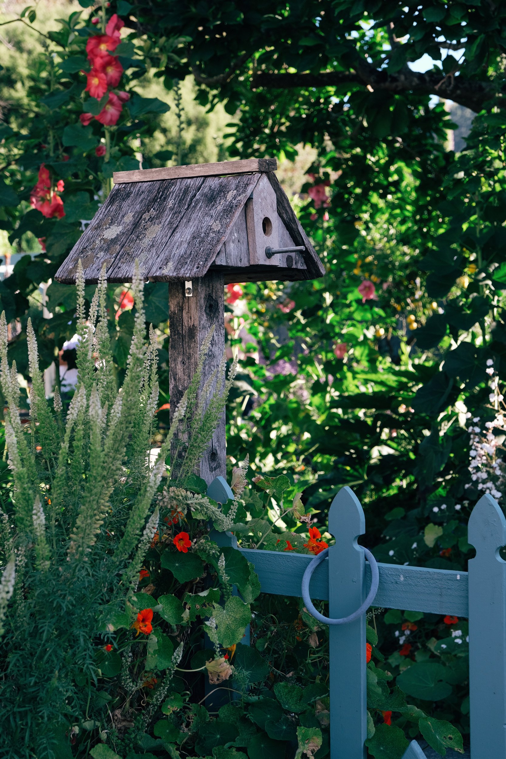 The Nurseryman's Cottage, Akaroa - Copyright photography by Julia Atkinson-Dunn