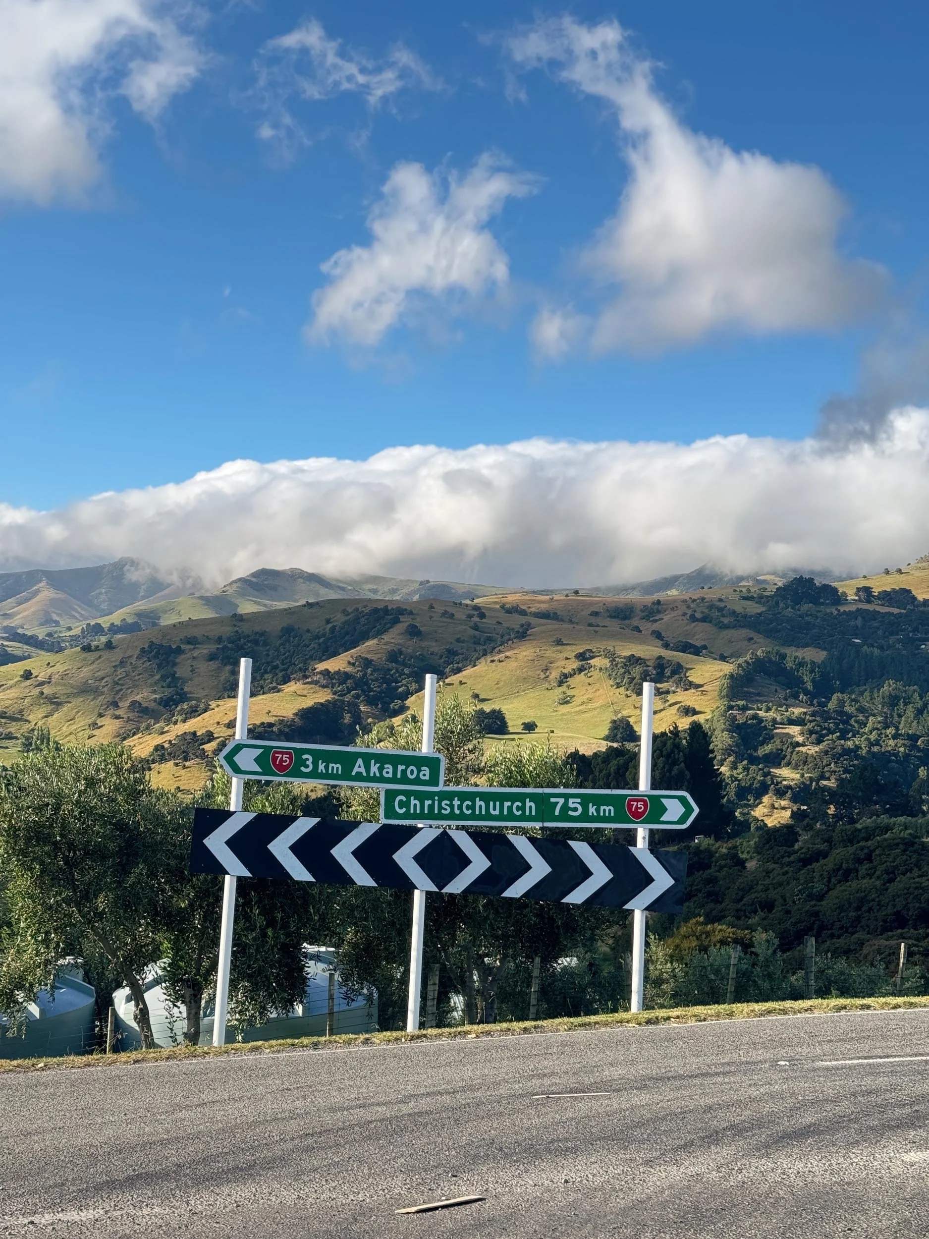 Akaroa - copyright photography Julia Atkinson-Dunn