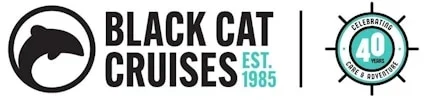 Black Cat Cruises logo with a black cat silhouette, celebrating 40 years since 1985.