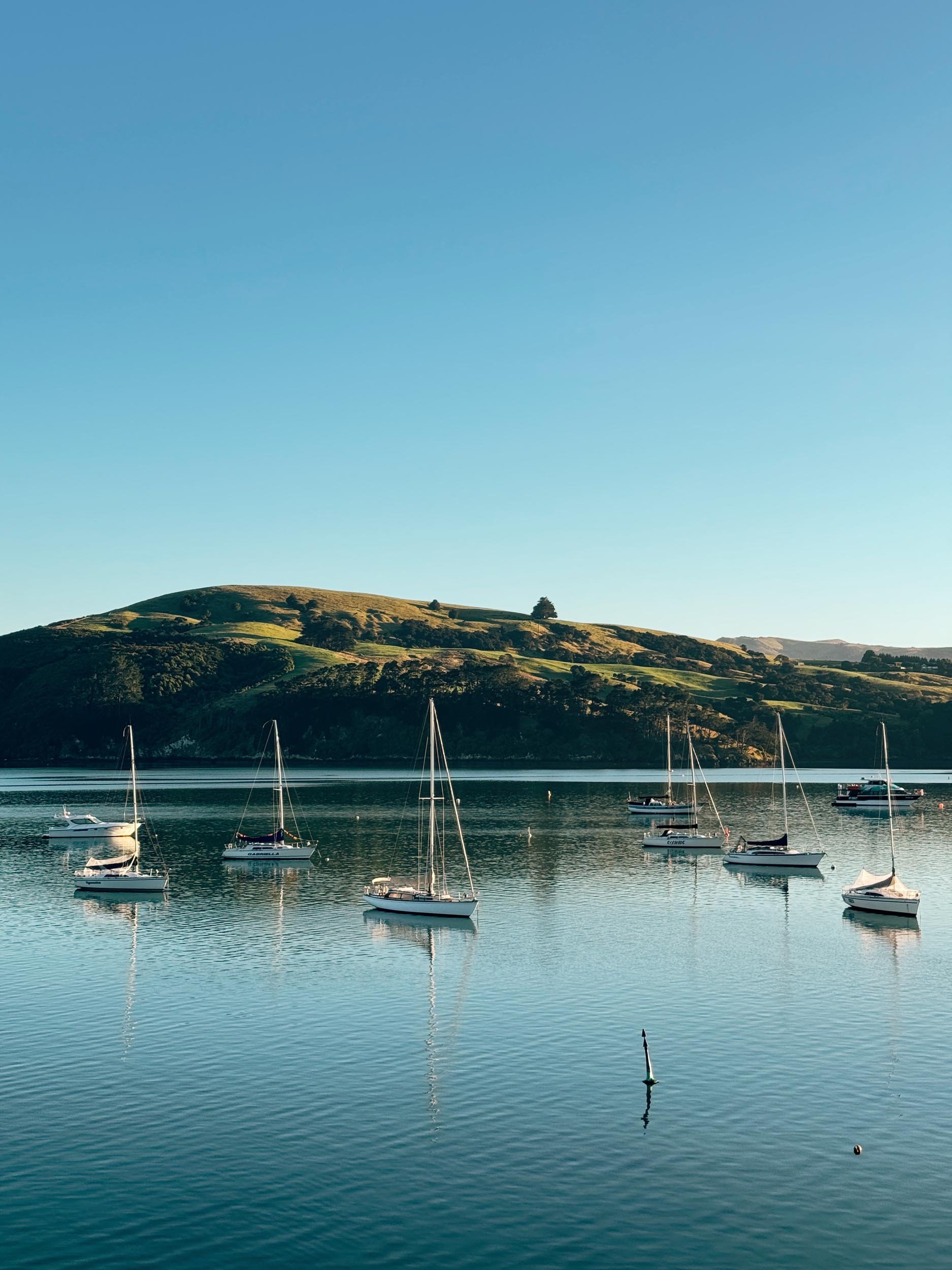 Akaroa harbour - copyright photography Julia Atkinson-Dunn