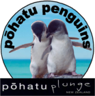 Two little penguins standing on ice against a backdrop of a blue sky, with the words 'Pohatu Penguins' written above them.