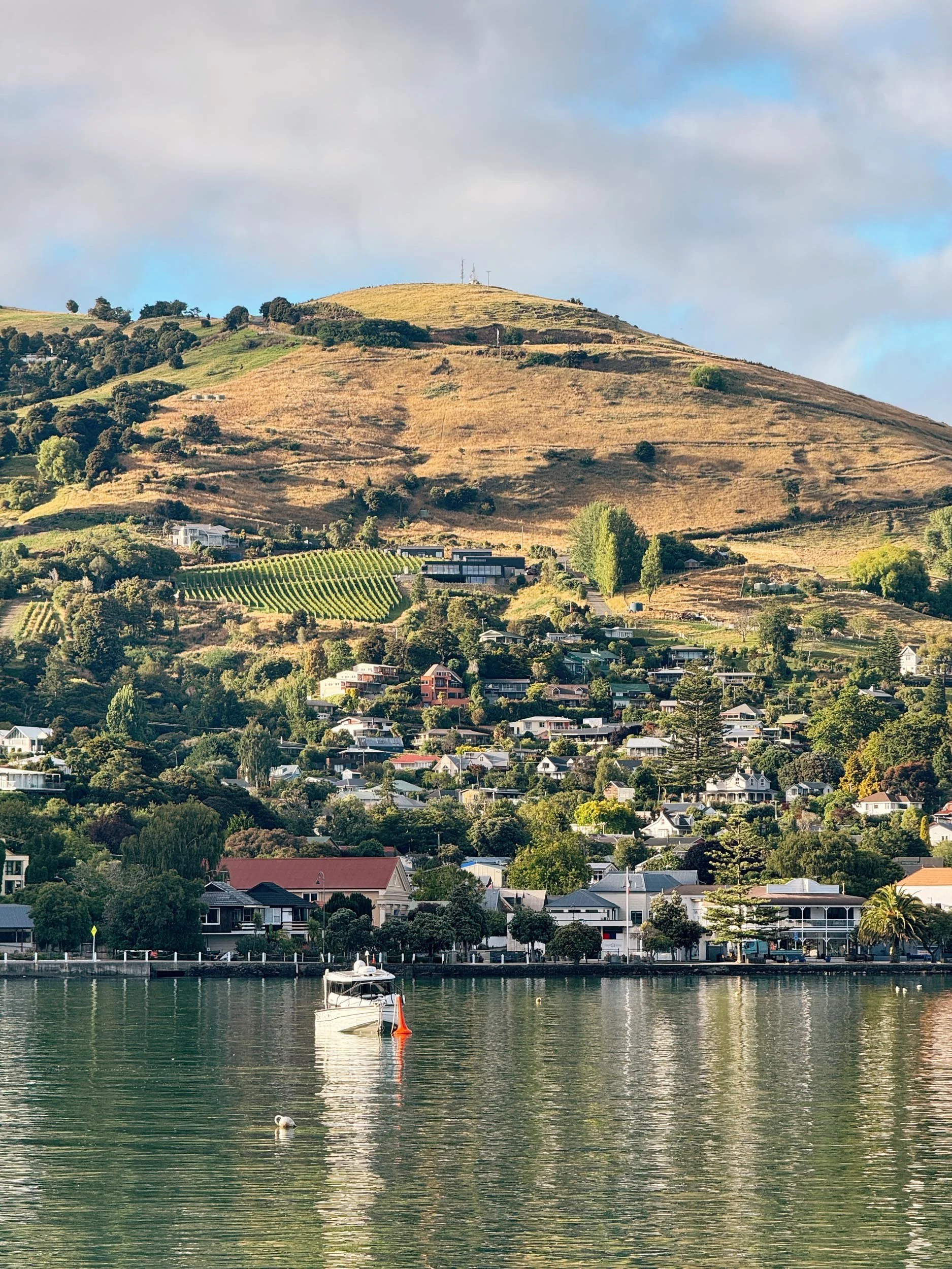Akaroa village - copyright photography Julia Atkinson-Dunn