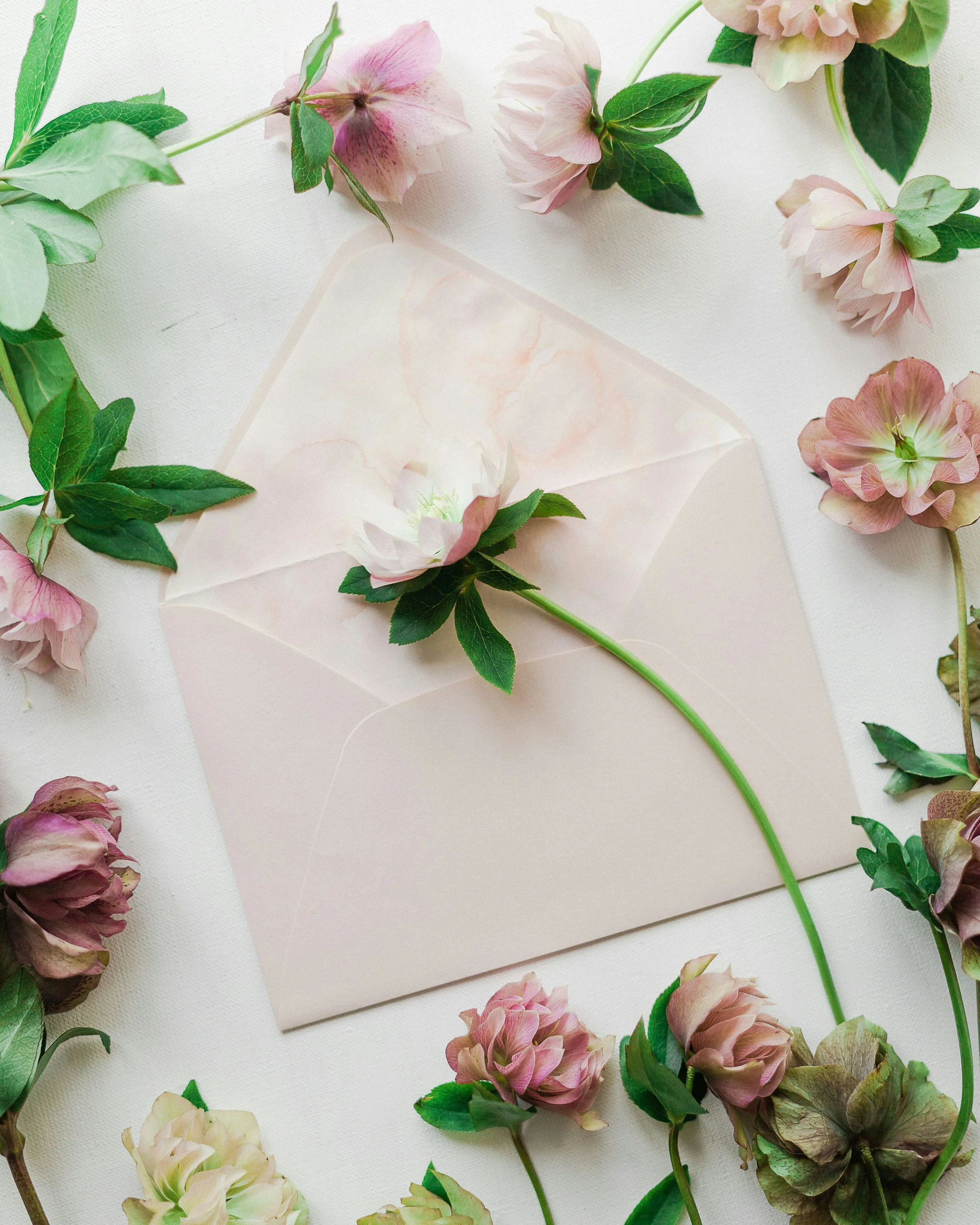 Arrangement of pink and cream-colored flowers with green leaves on a white surface, some flowers are wrapped in translucent paper.