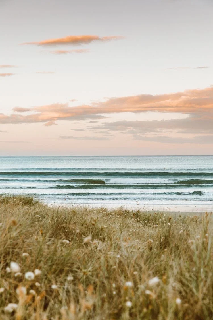 A peaceful beach with gentle waves and a cloudy sky at sunset or sunrise, with tall grass and wildflowers in the foreground.