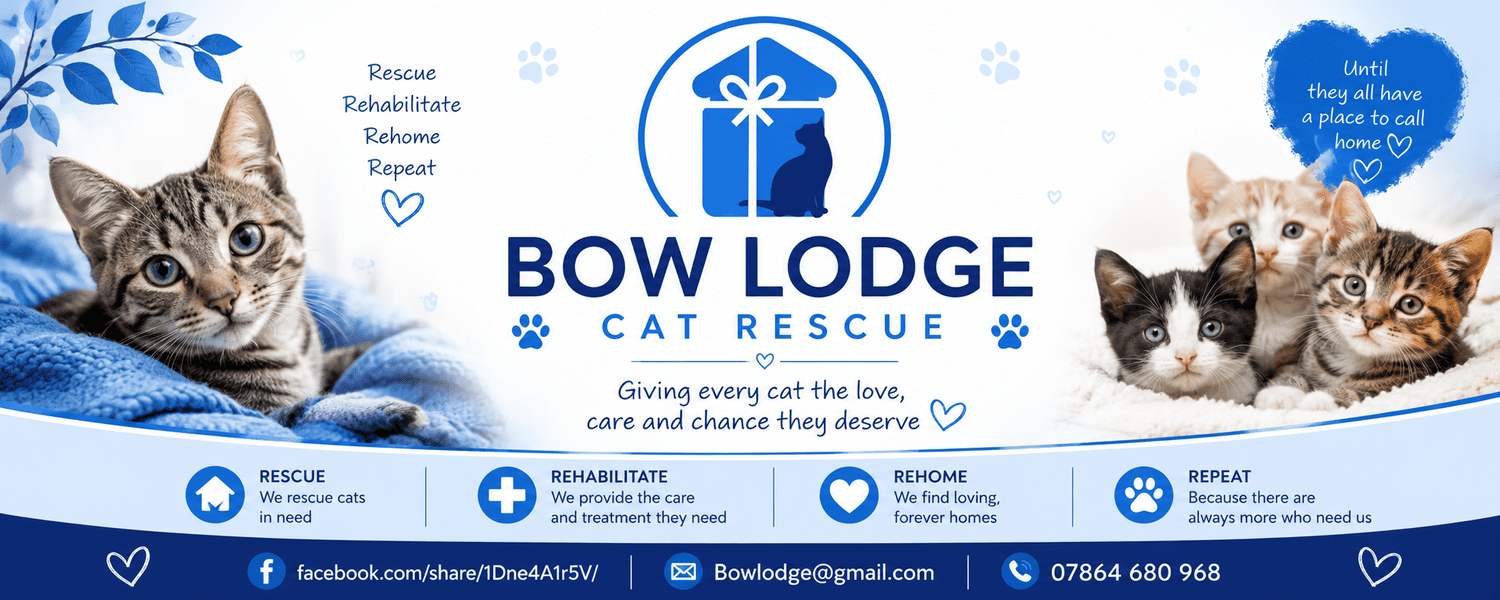 Bow Lodge Cat Rescue