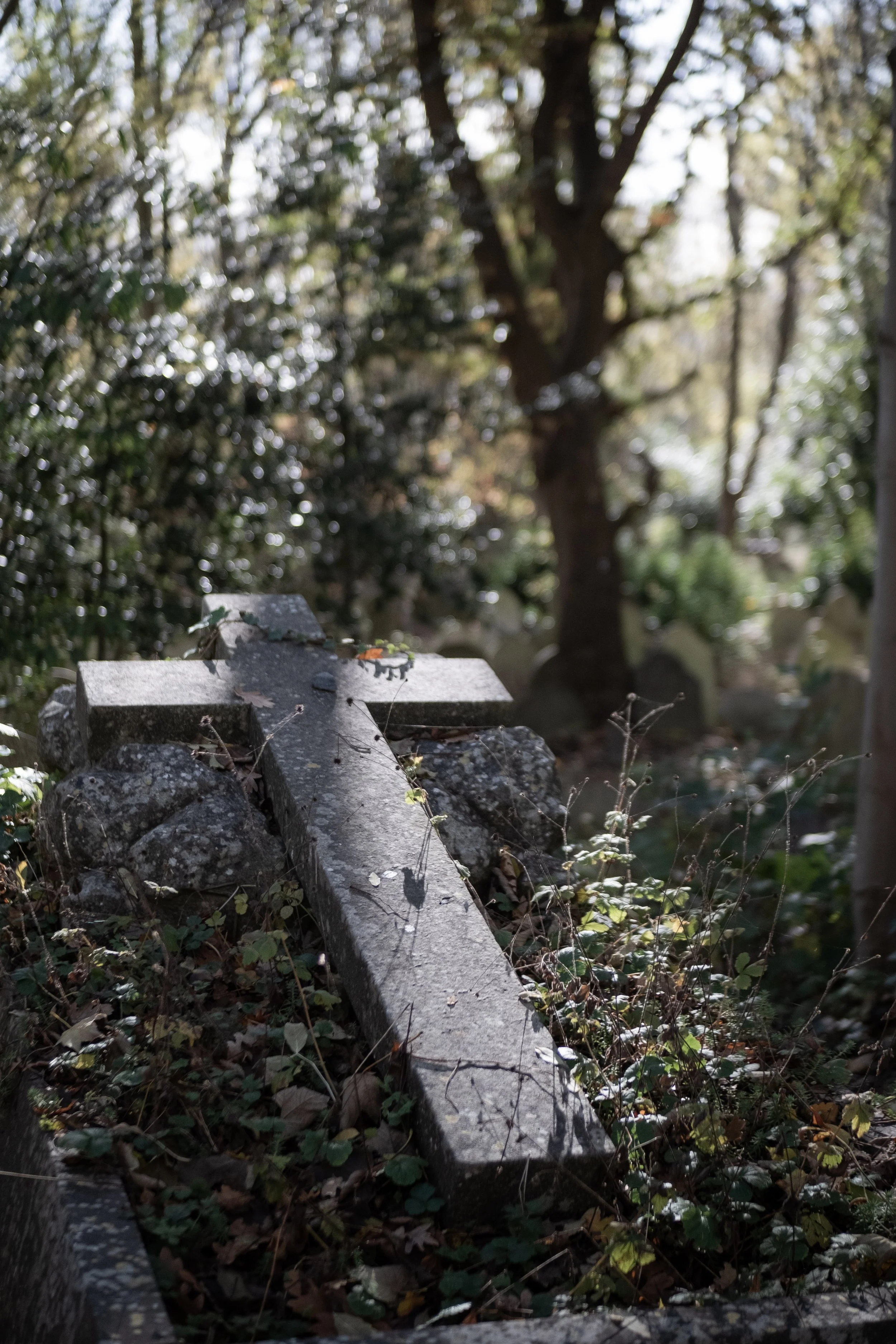 Highgate London-03.jpg