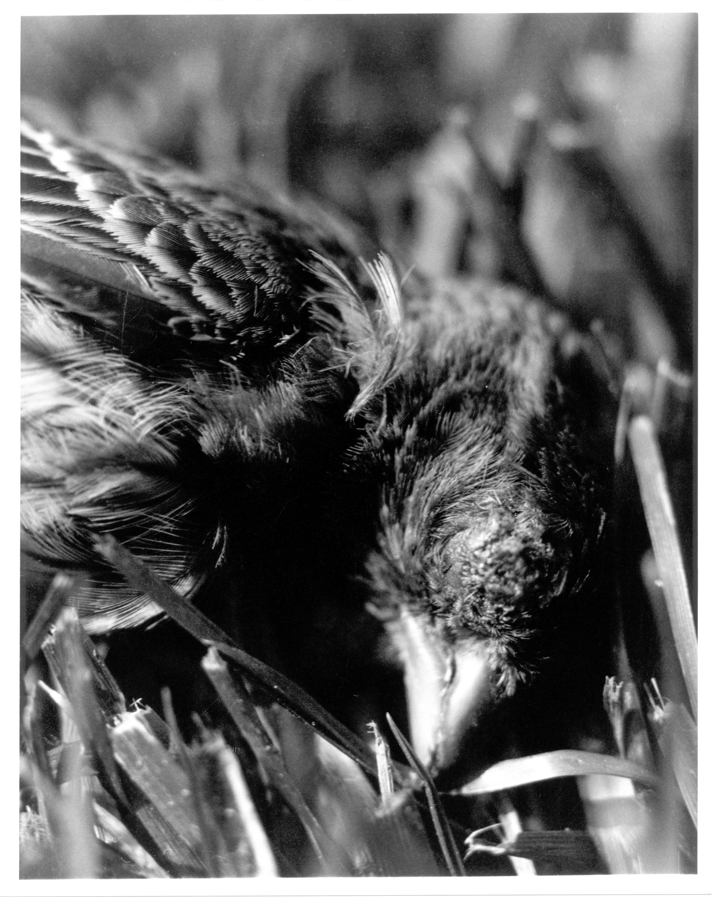 Darkroom-6.jpg
