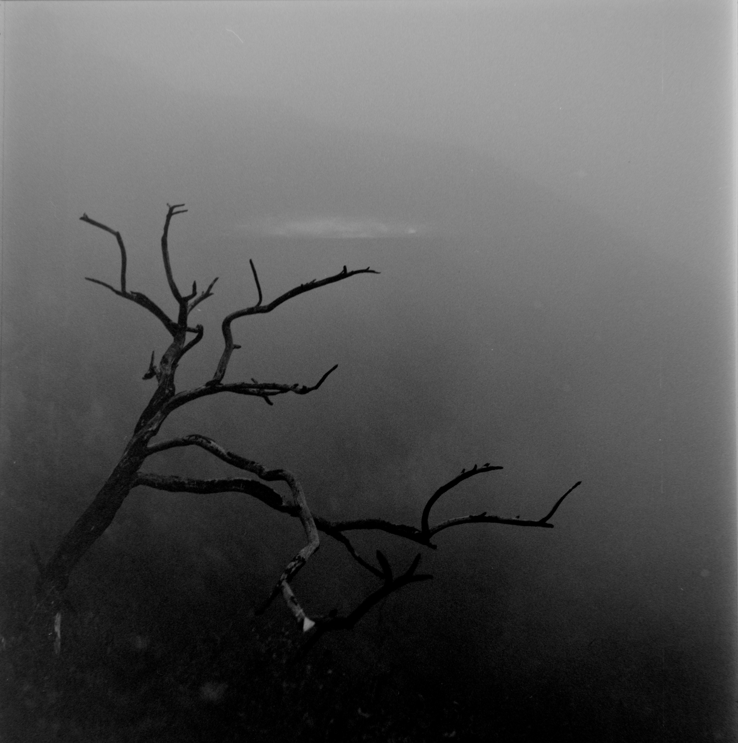 DSC_1490_48Bit_g2p0004.png