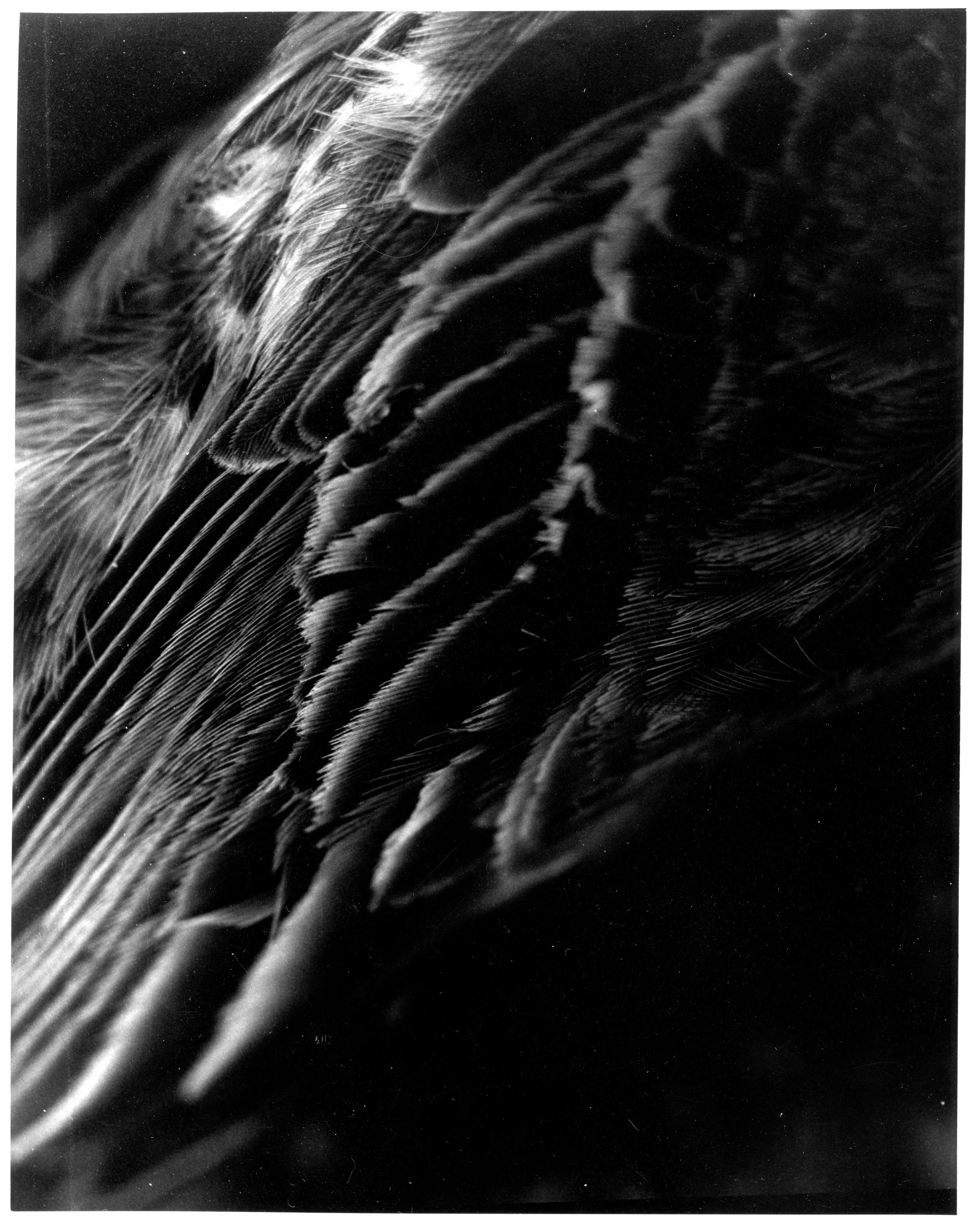 Darkroom010.jpg