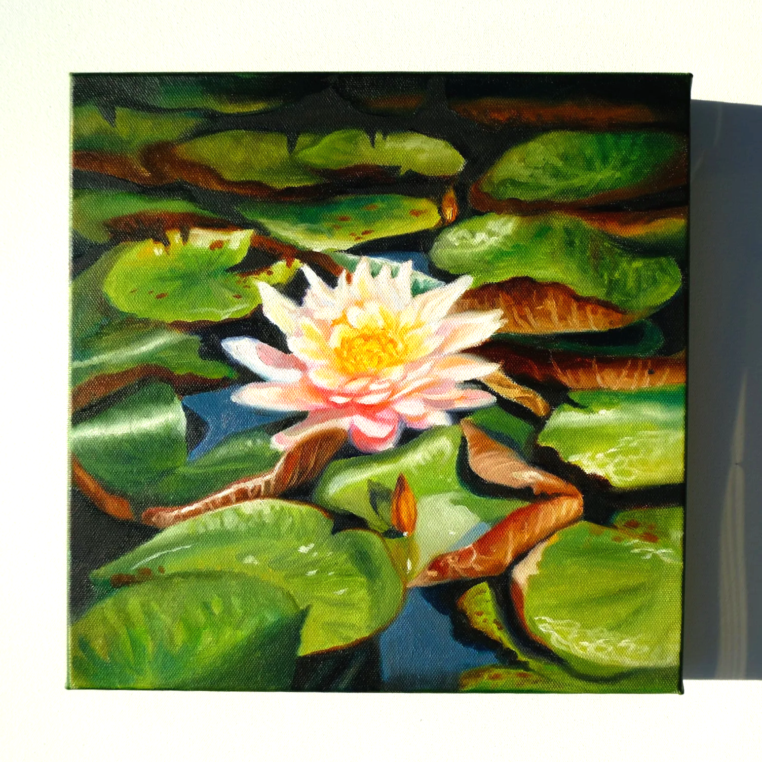 "Water Lily"