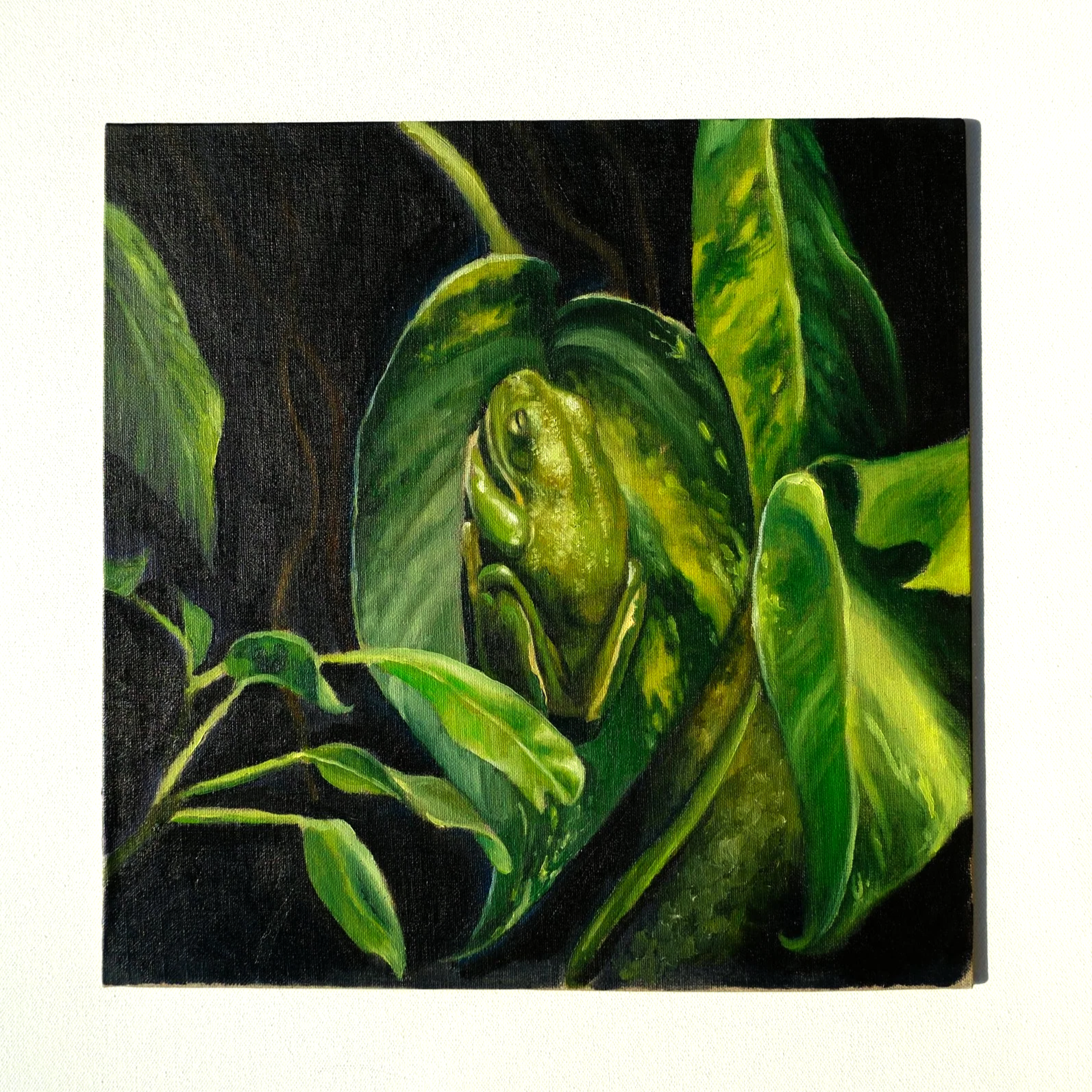 "Leaf Frog"
