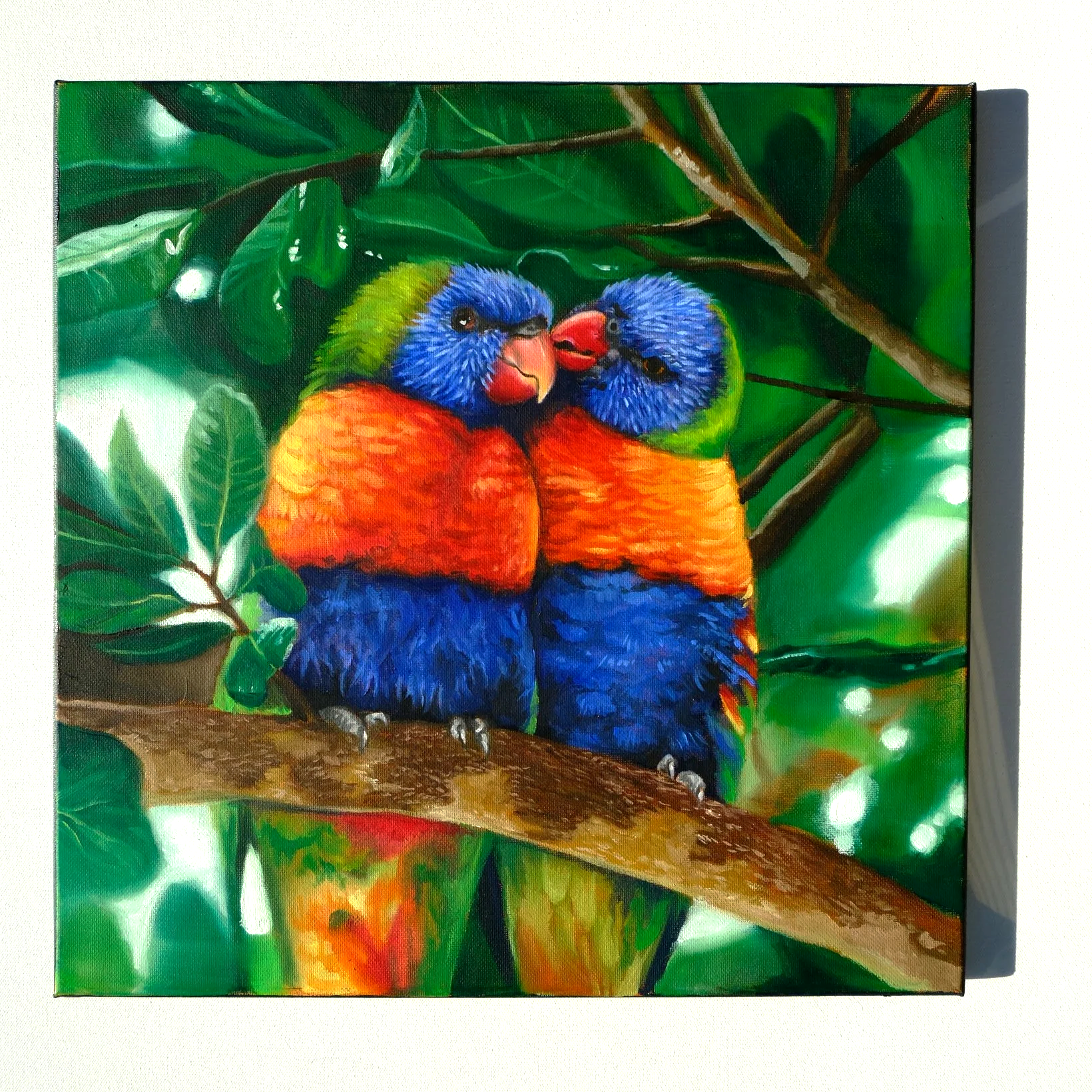 "Love Amongst Lorikeets"