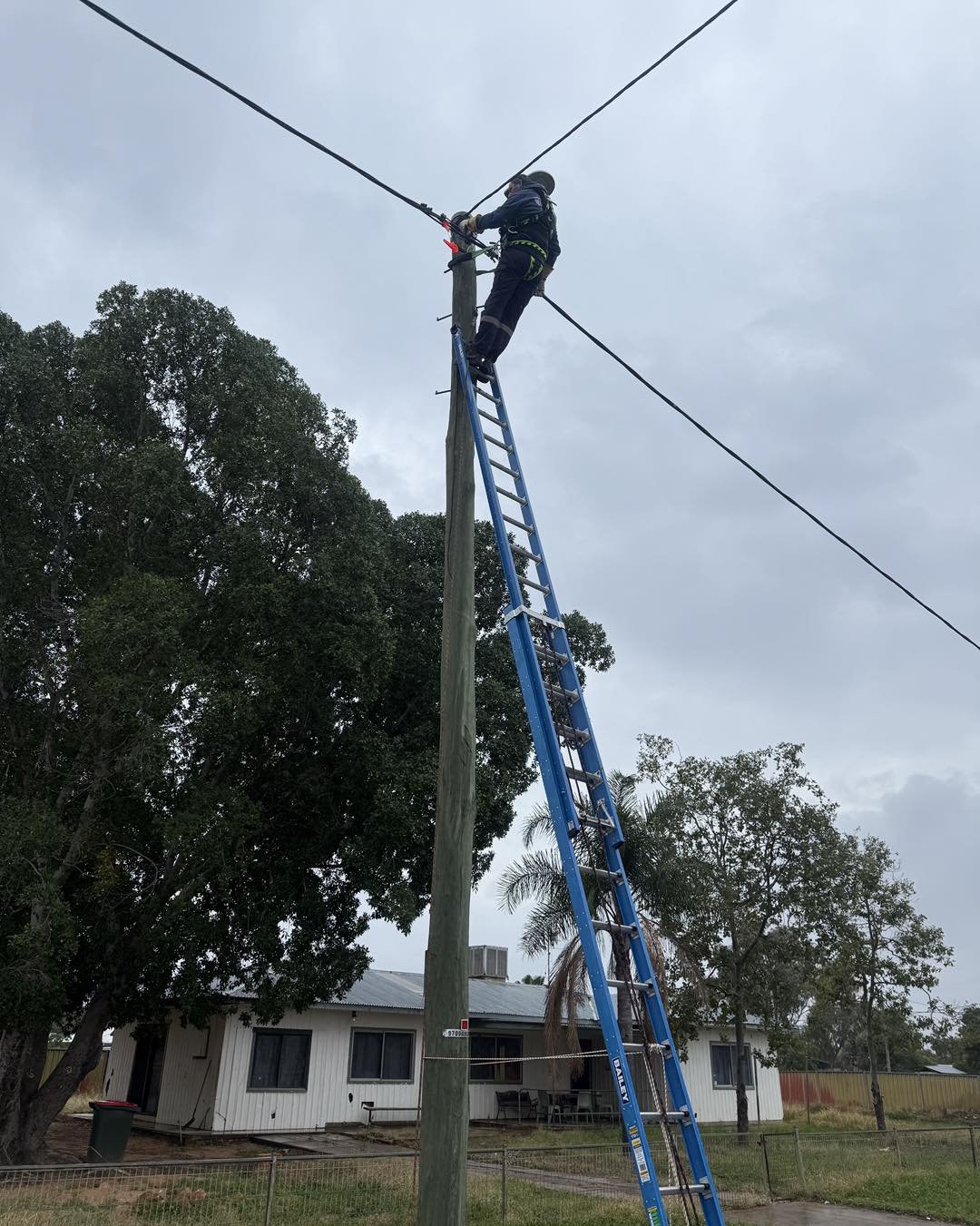 Utility worker in safety gear climbs a blue extension ladder on a wooden power pole to work on overhead lines.