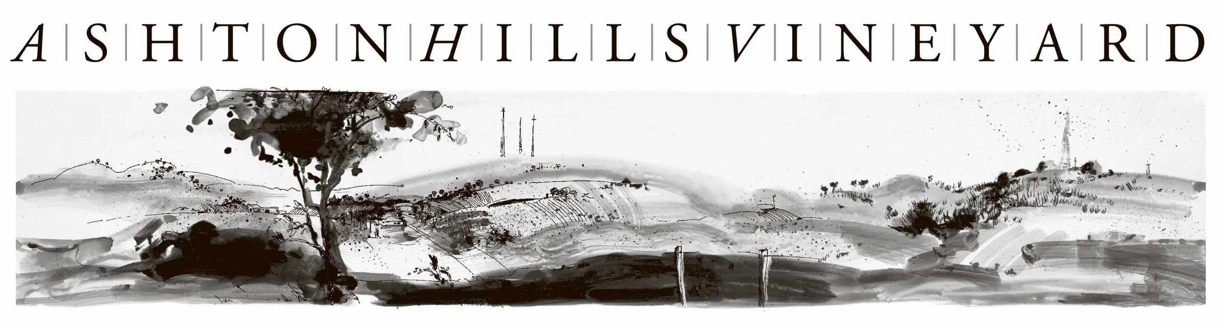 Black and white landscape painting of hills, trees, and vineyards with the text "Ashton Hills Vineyard" at the top.