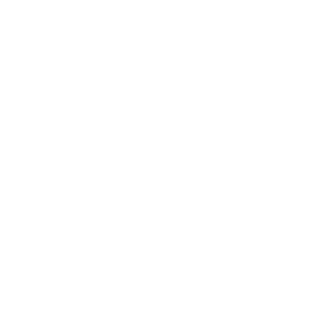 Icon of a mountain with a flag on top, representing reaching a summit or goal.