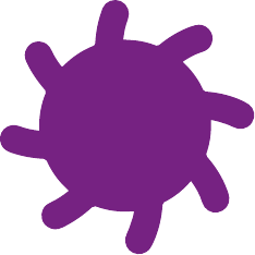 The Brand Illustration