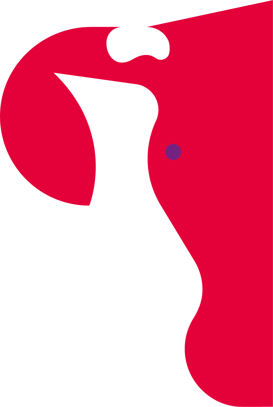 The Brand Illustration