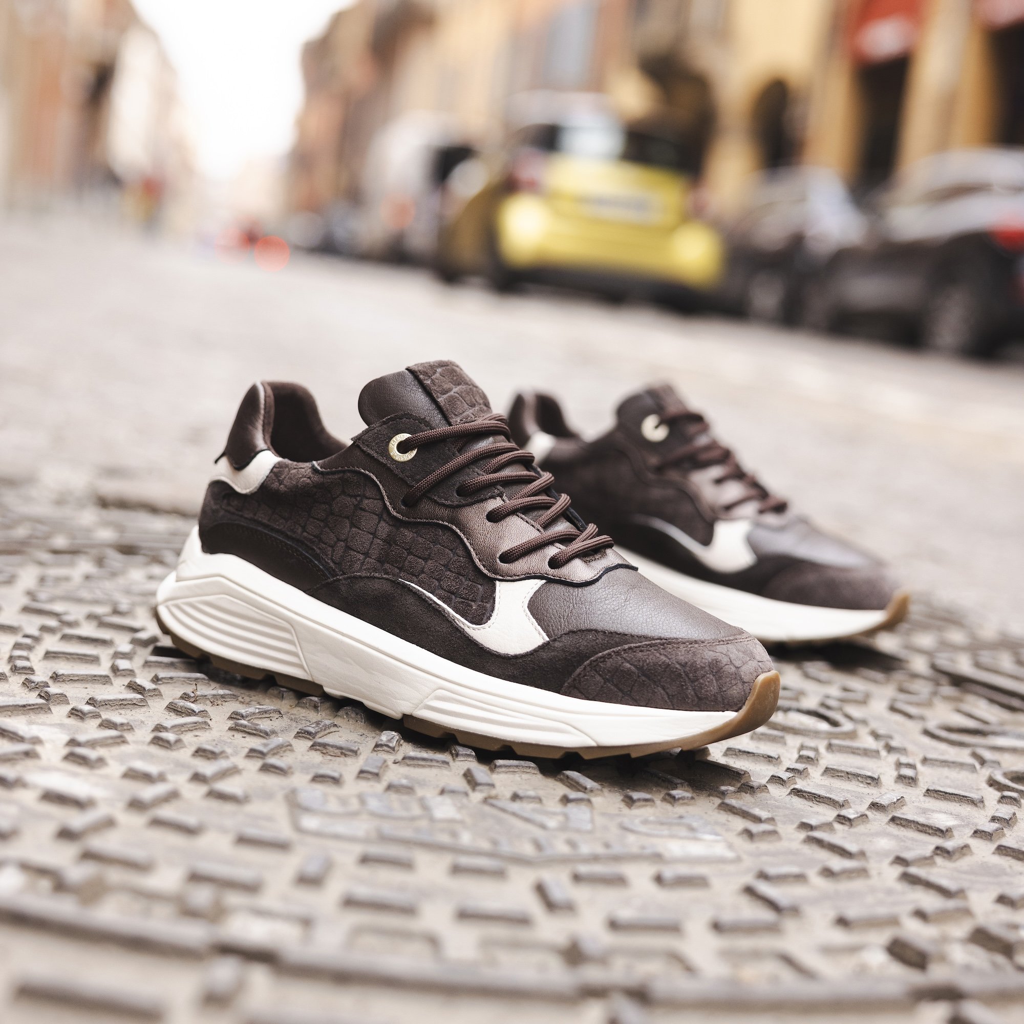Aanbod Schoenen Van Tendeloo Lille