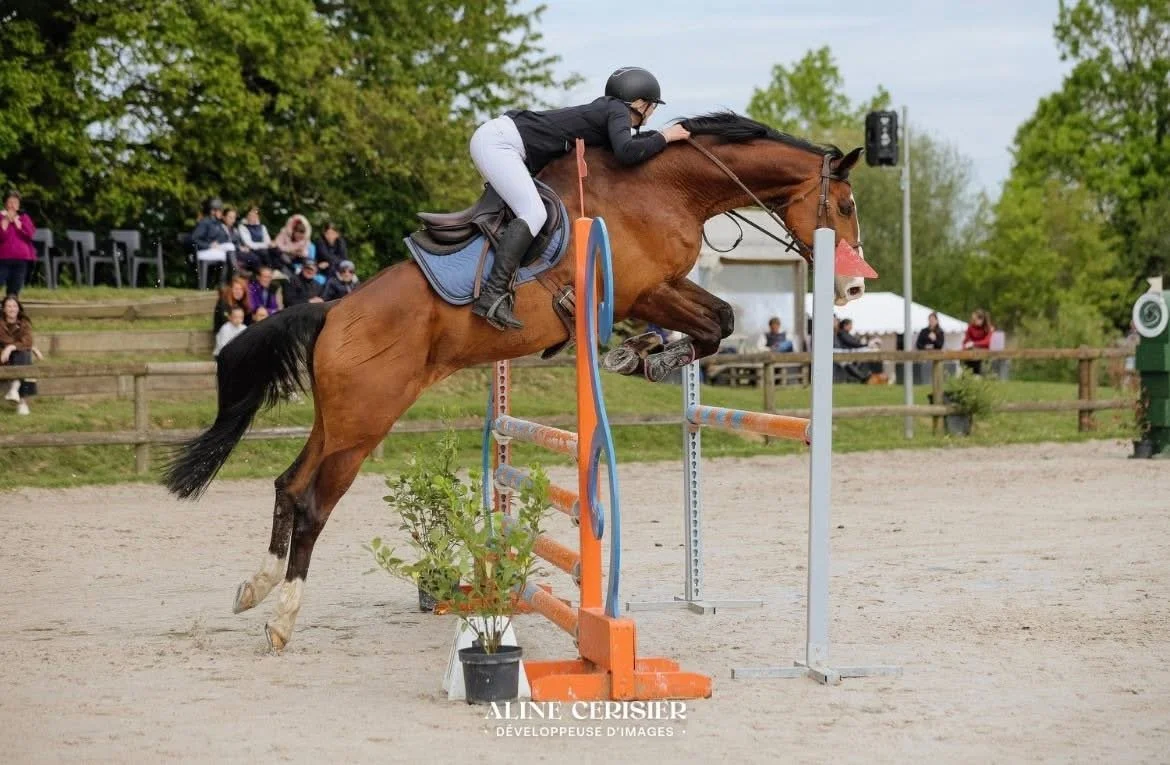 Cavalière en noir sautant un obstacle lors d'une compétition équestre dans un champ, avec des spectateurs en arrière-plan.