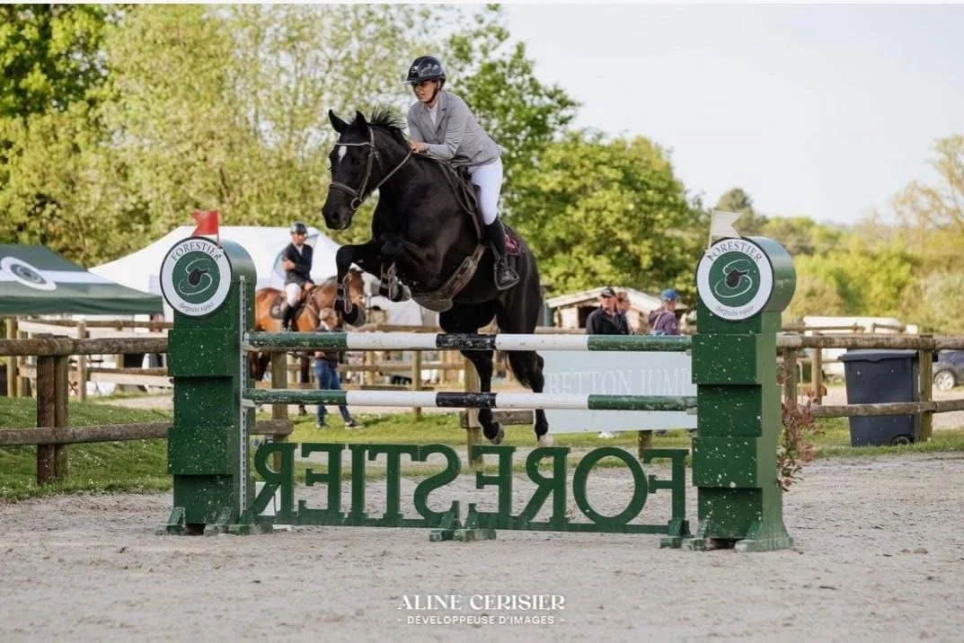 Une cavalière en tenue de saut d'obstacles saute un obstacle sur un cheval noir lors d'une compétition d'équitation à l'extérieur.