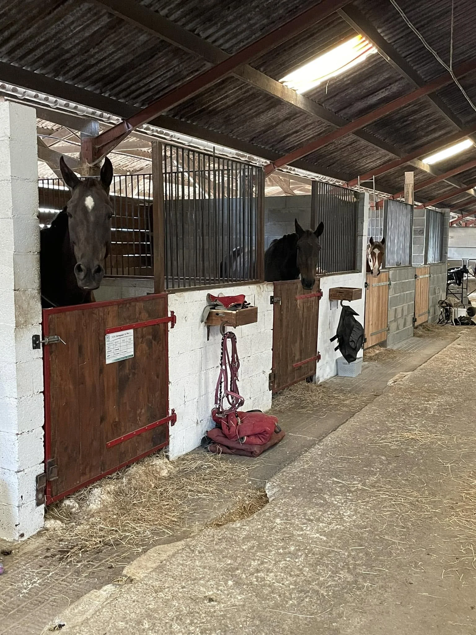 Trois chevaux sont dans leurs boxes en stabulation, une porte en bois est ouverte devant chaque boxe, et des objets de selle sont posés à proximité.