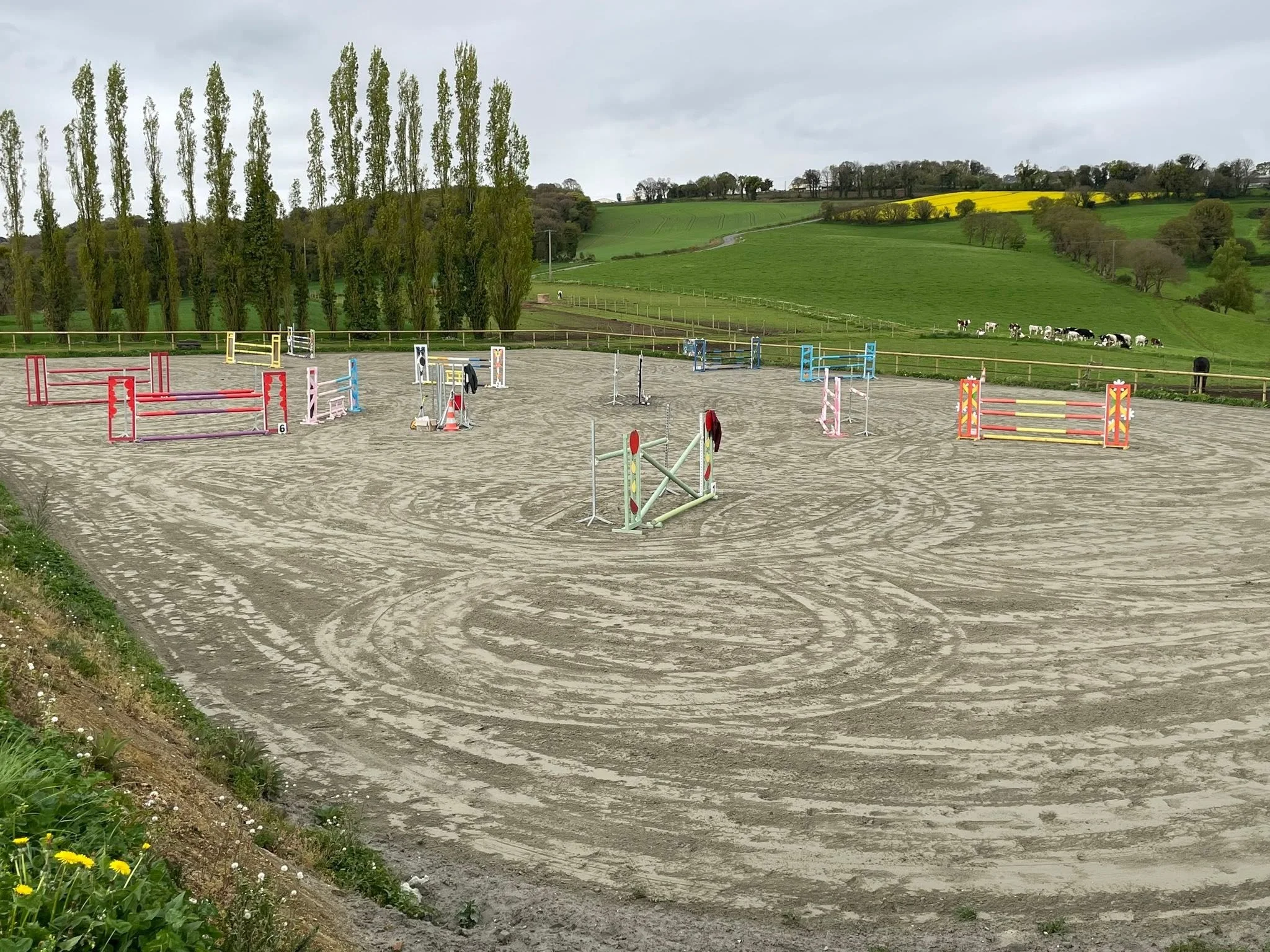 Un terrain de concours de saut d'obstacles avec différentes barres colorées, entouré de paysages verdoyants avec des vaches et des collines en arrière-plan.