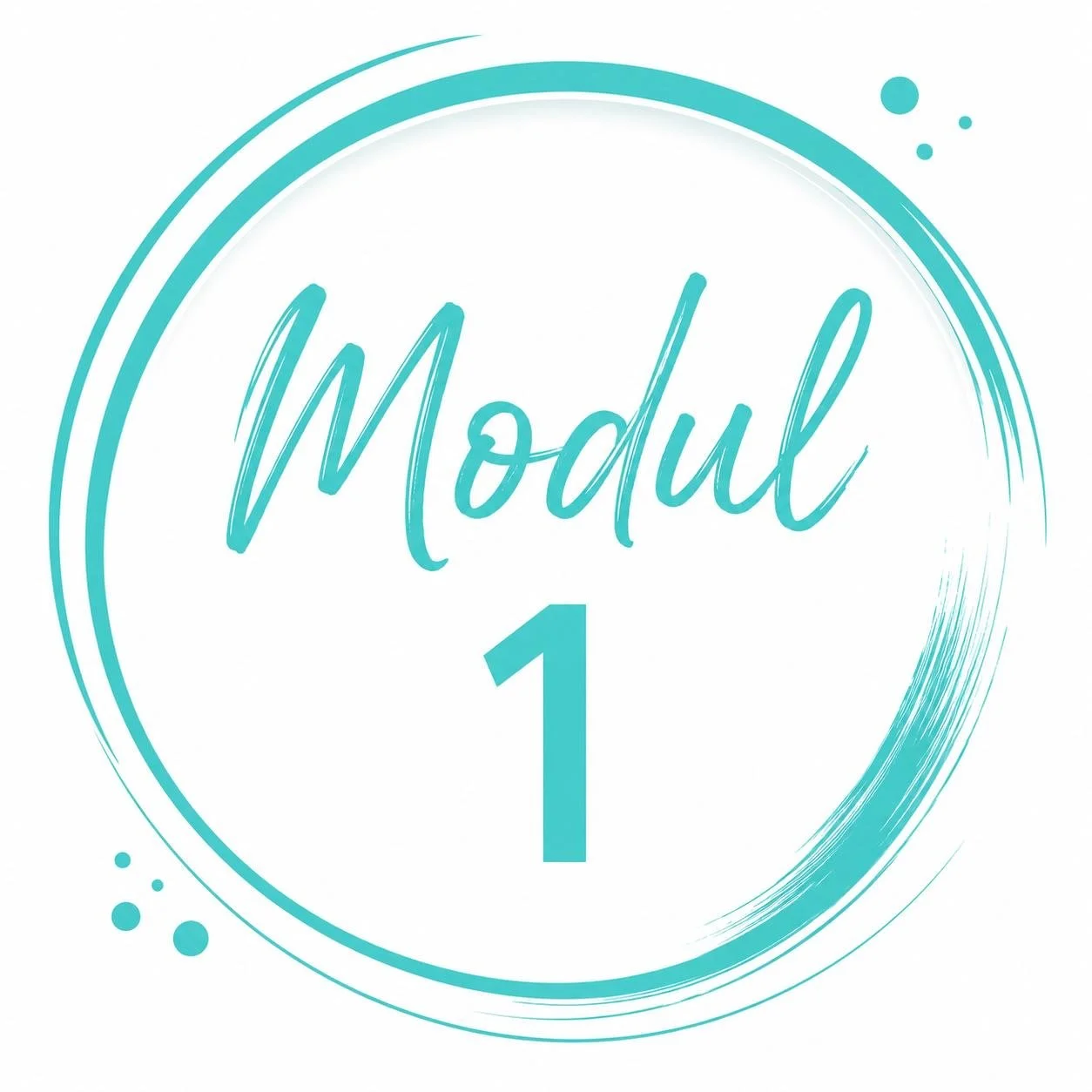 Bild Modul 1.JPG