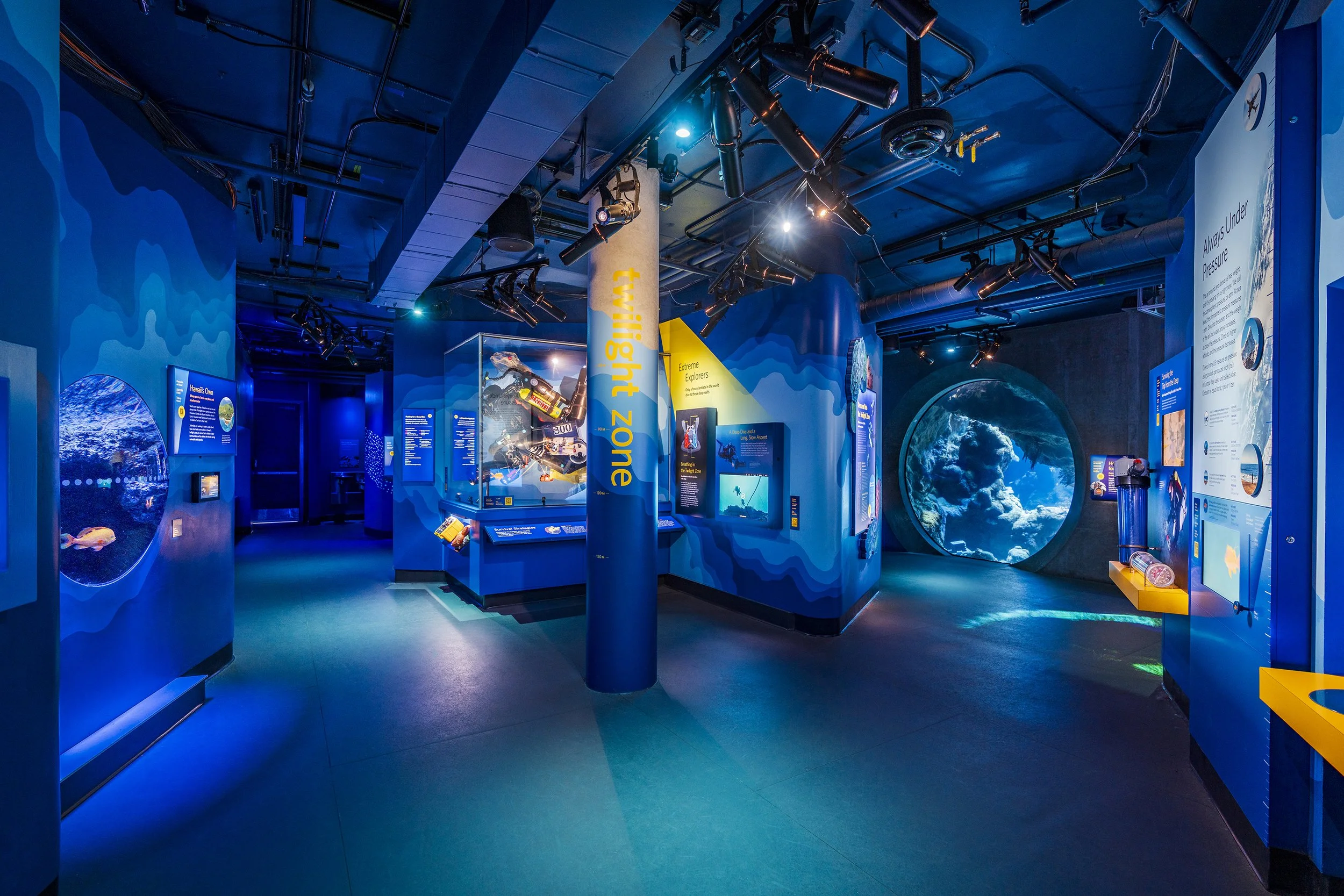 Exhibits explore the mesophotic zone: live tanks, physical and digital interactives, objects, and soundscapes immerse visitors in the richness of this mysterious environment.