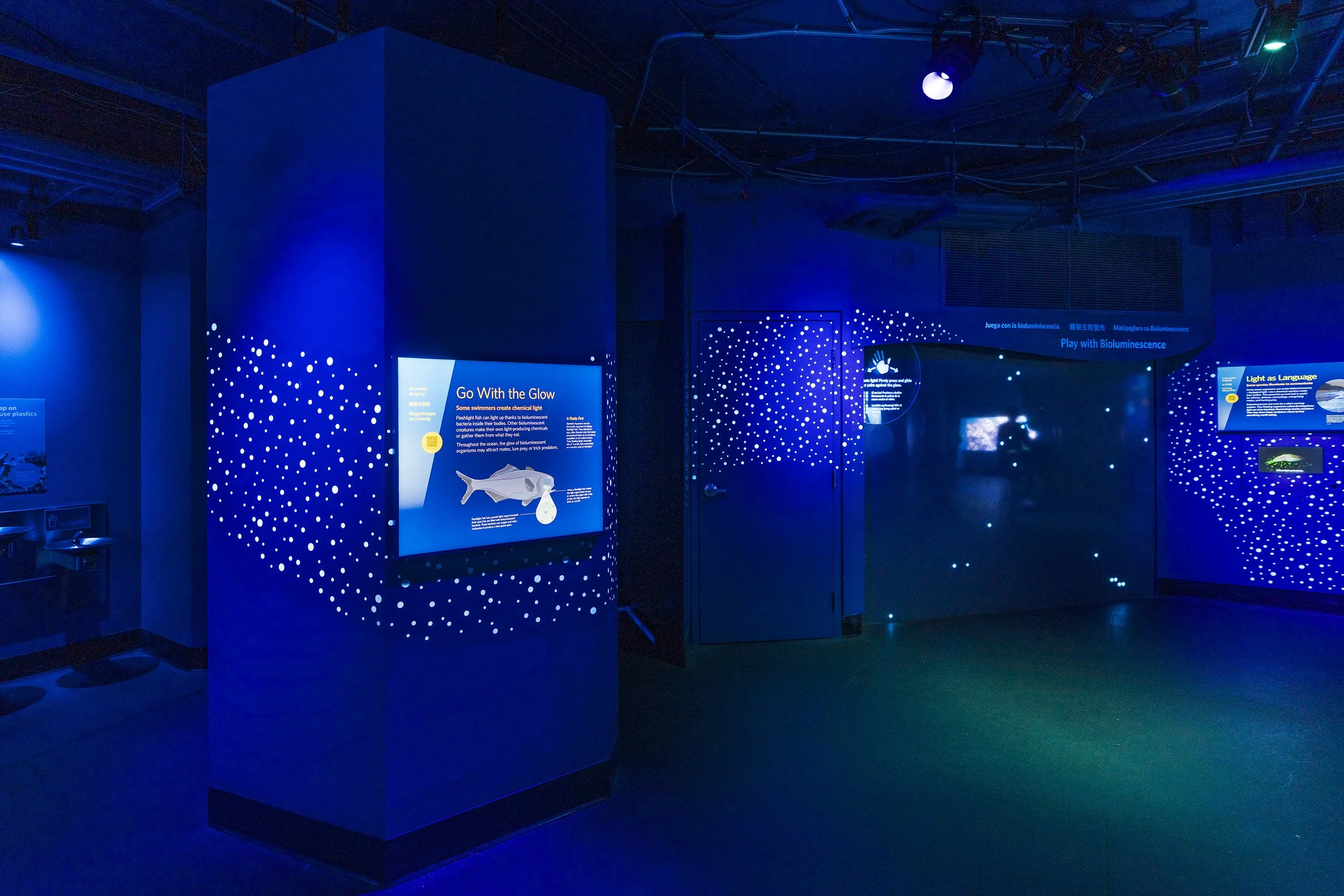 UV paints and inks bring visual interest to the very low-light flashlight fish corner. Carefully studied partition placement and the use of light boxes instead of overhead lighting reduce the overall glare on existing tanks which have relatively low 