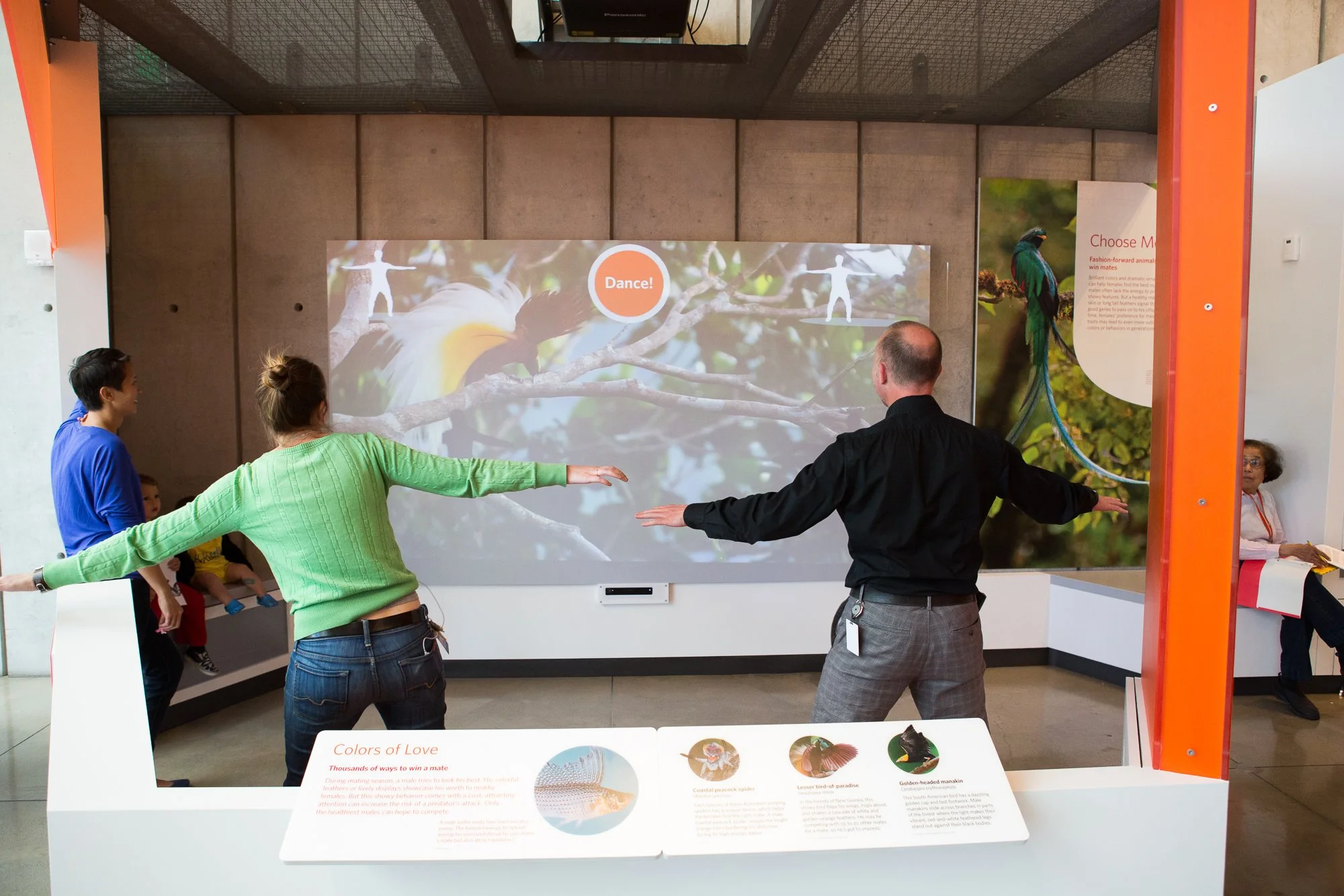 Visitors mimic the mating choreography of
birds, seahorses, and spiders in this full-body interactive.