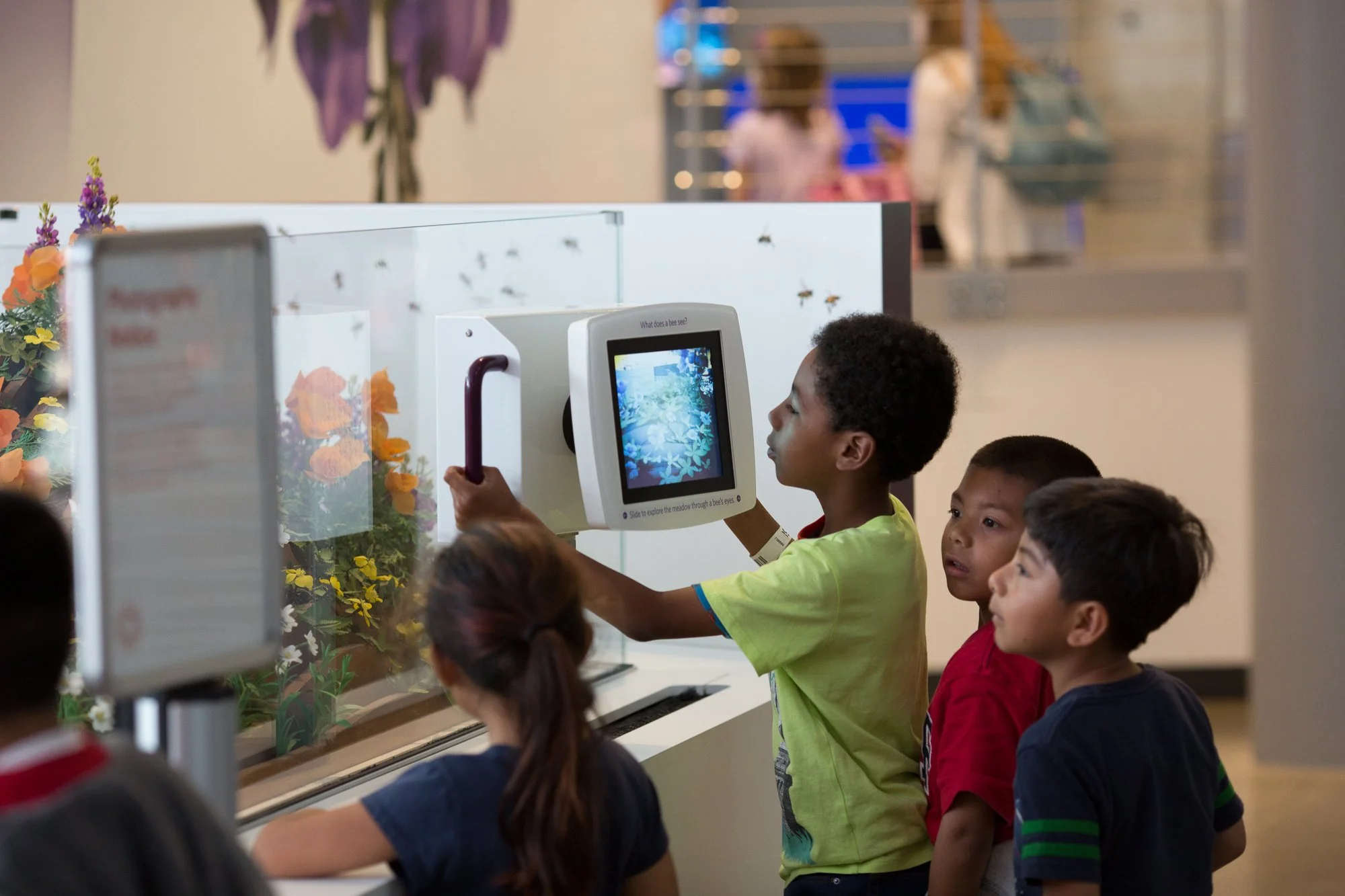 Visitors slide augmented viewers to navigate a meadow of flowering plants with a bee’s-eye view.