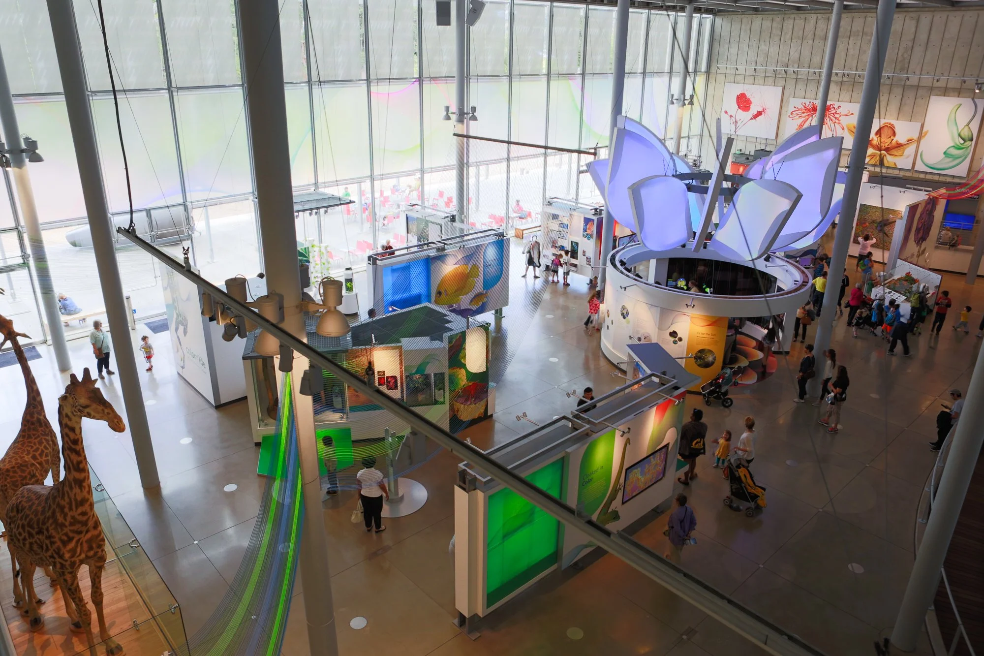 The open-plan layout reuses an existing modular system arranged around a series of new live animal tanks and enclosures. A central experience provides a hub from which to explore. 