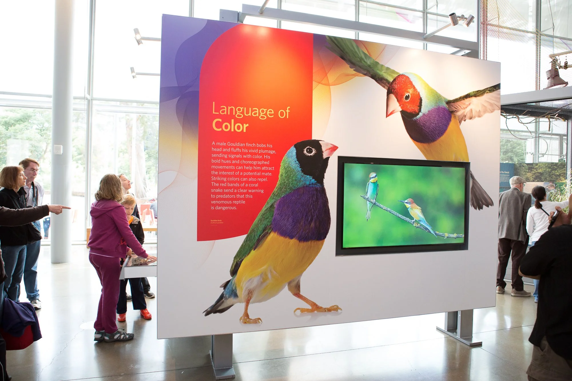 See color for what it truly is: a major player in the natural world. From mating rituals to survival tactics, color plays a crucial part in the day-to-day life of countless species, and reveals the interconnectedness of life.