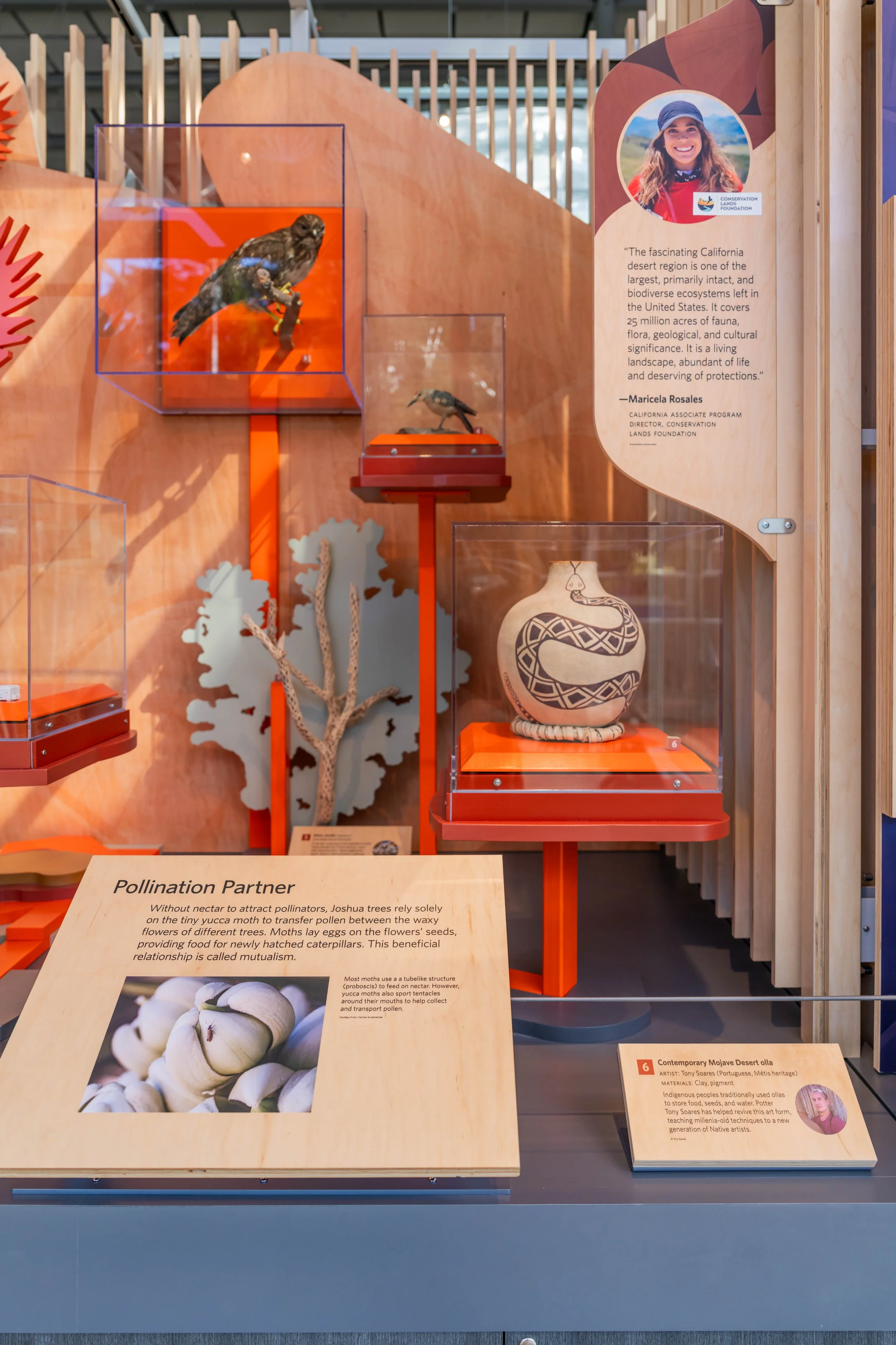 California artists contributed works that give each story a tactile reality.