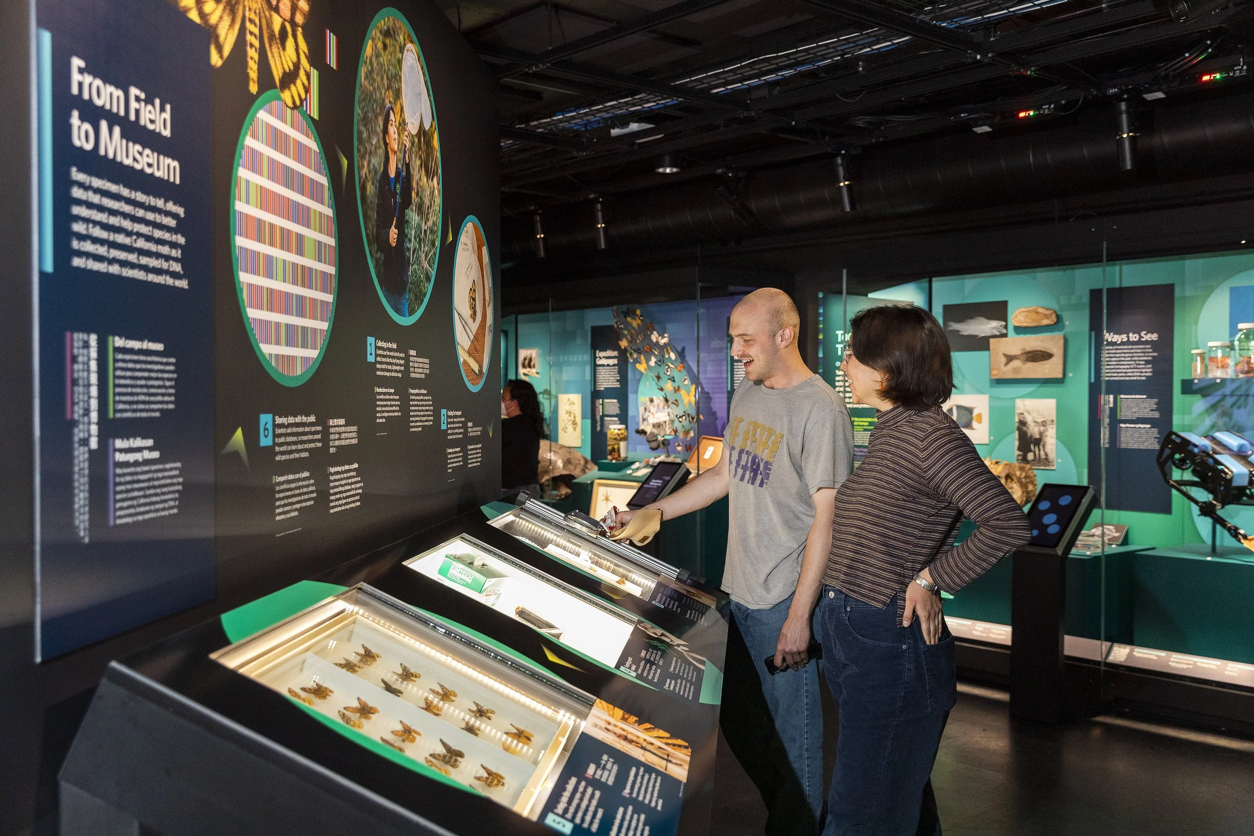The final exhibit looks at how specimen are collected and preserved.