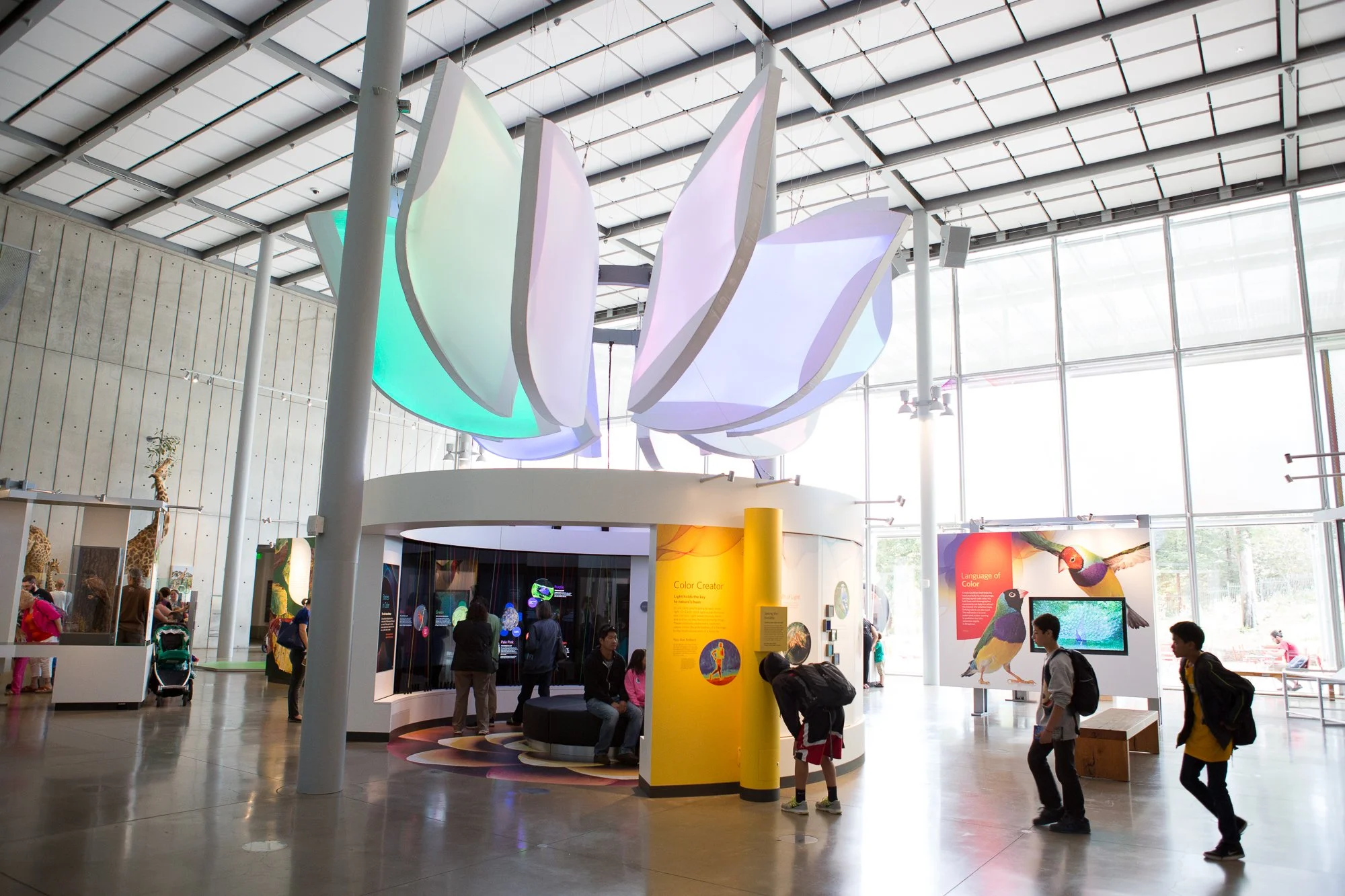 The central Color Visualizer area is a multi-sensory experience and gathering space.