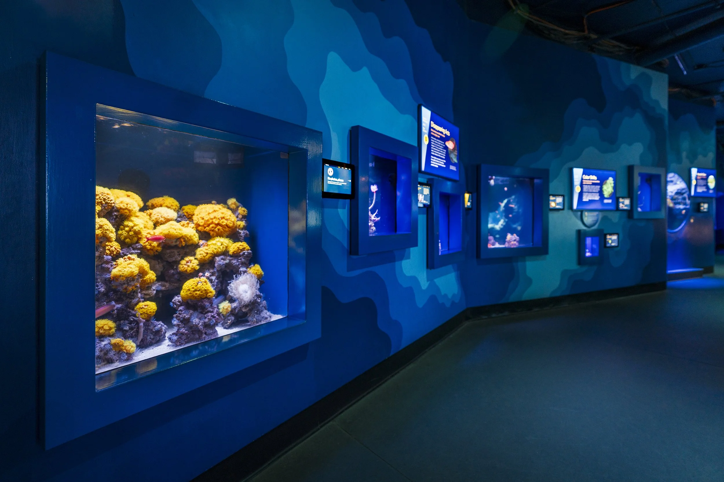 Bathymetric maps inspired mural motifs that were hand-painted throughout the gallery.