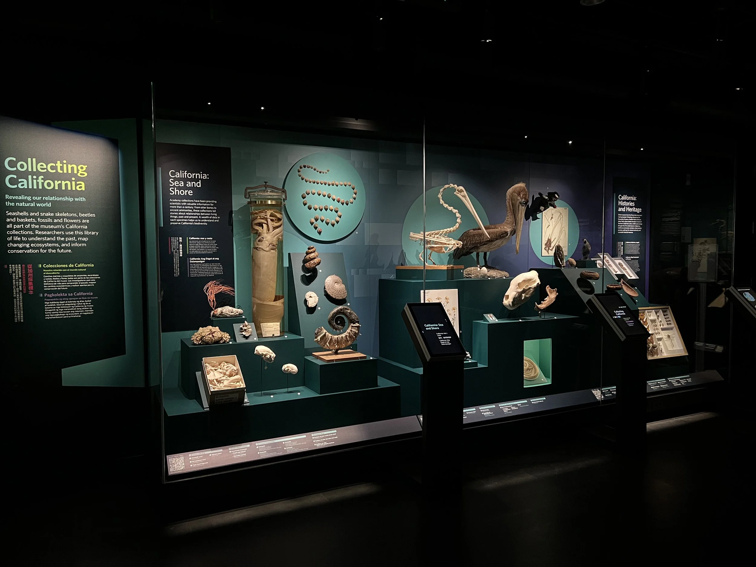 Core themes for the exhibition include: why we collect, how we collect, and the impact of collections research.