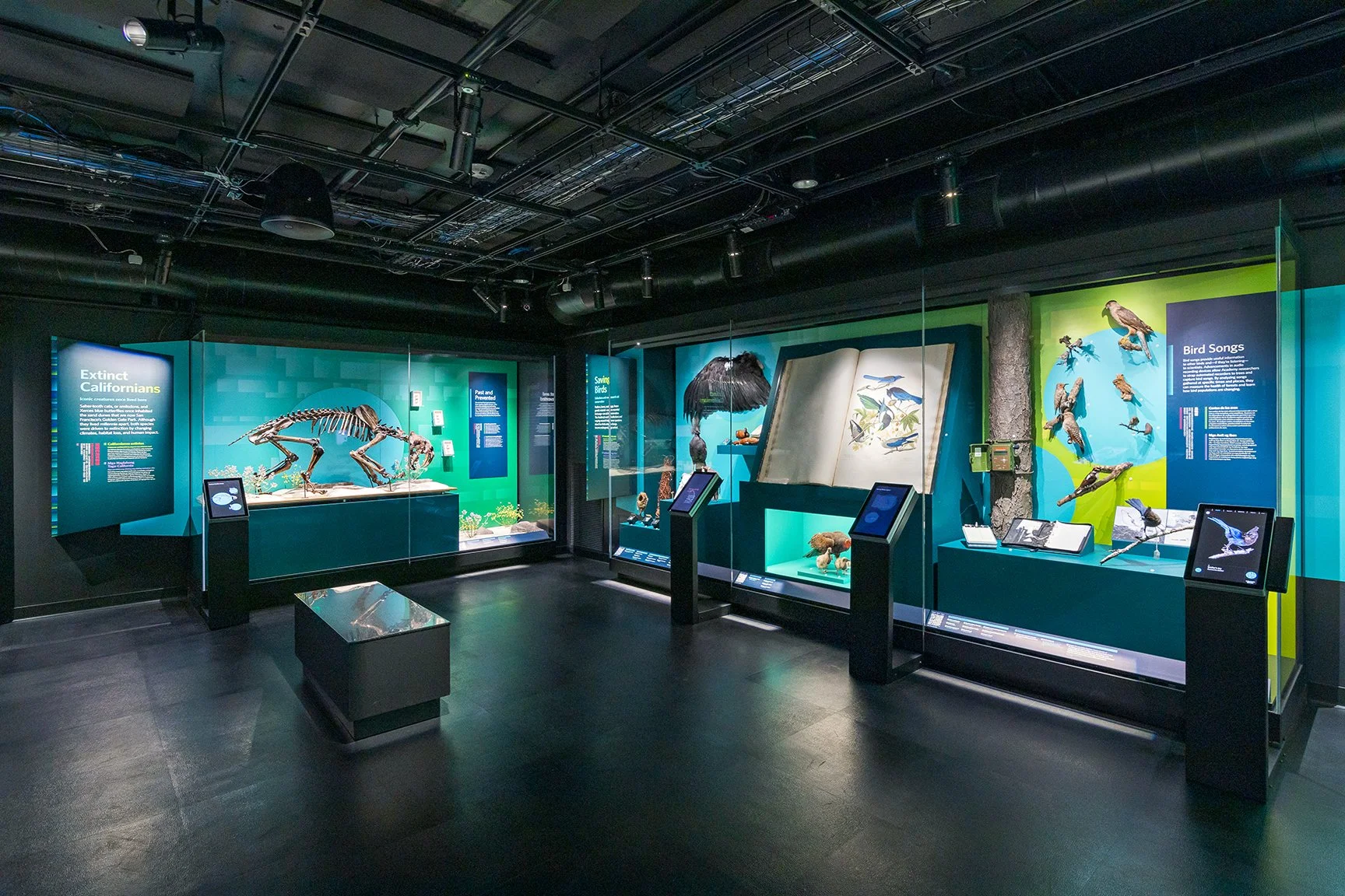 Modular case and interpretation systems provide future flexibility – a top priority of this gallery.