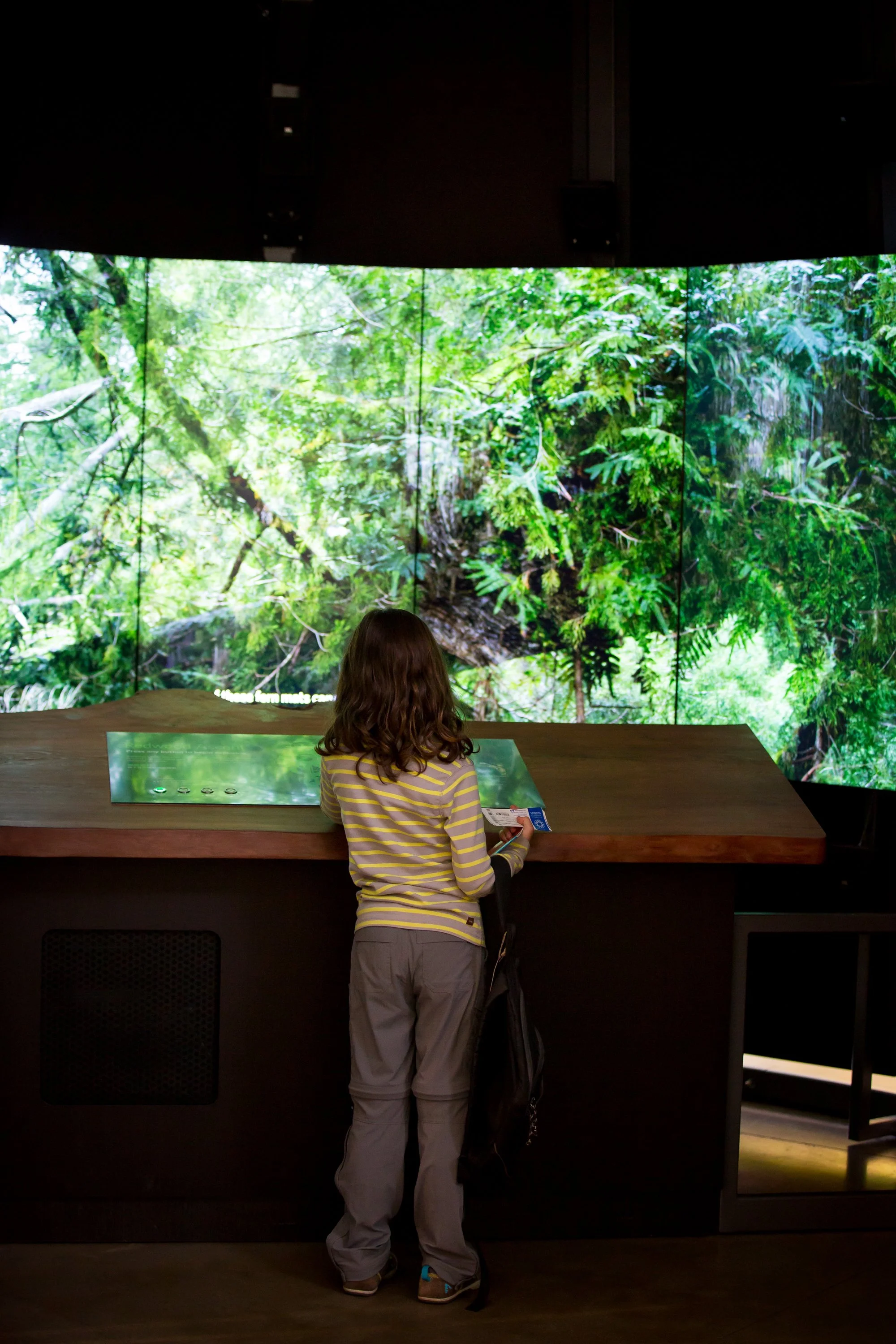 Visitors stepped inside an intimate, multimedia theater and journeyed from forest floor to canopy. 