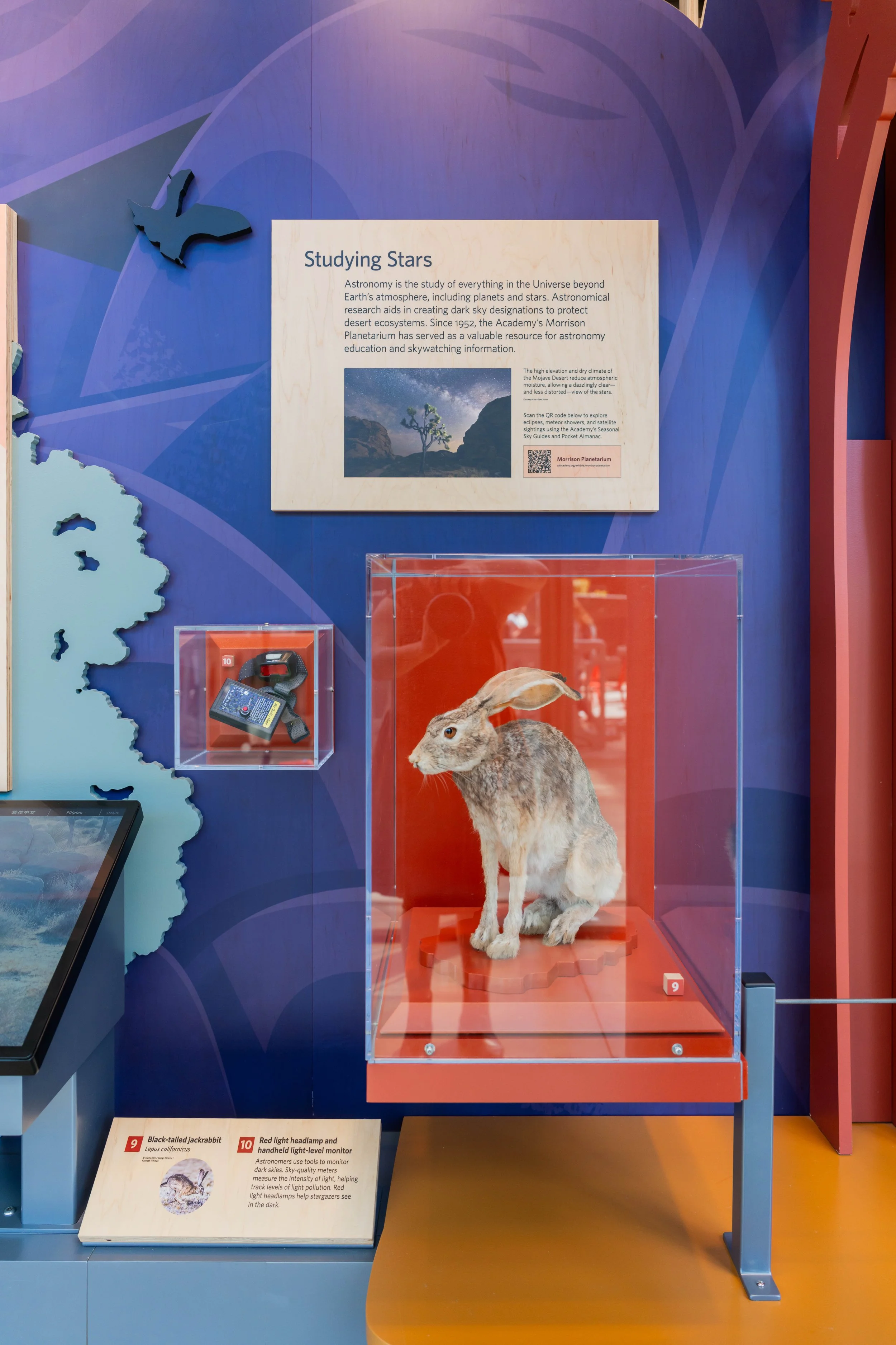 Preparators and conservation specialists brought out the best in each specimen on display.