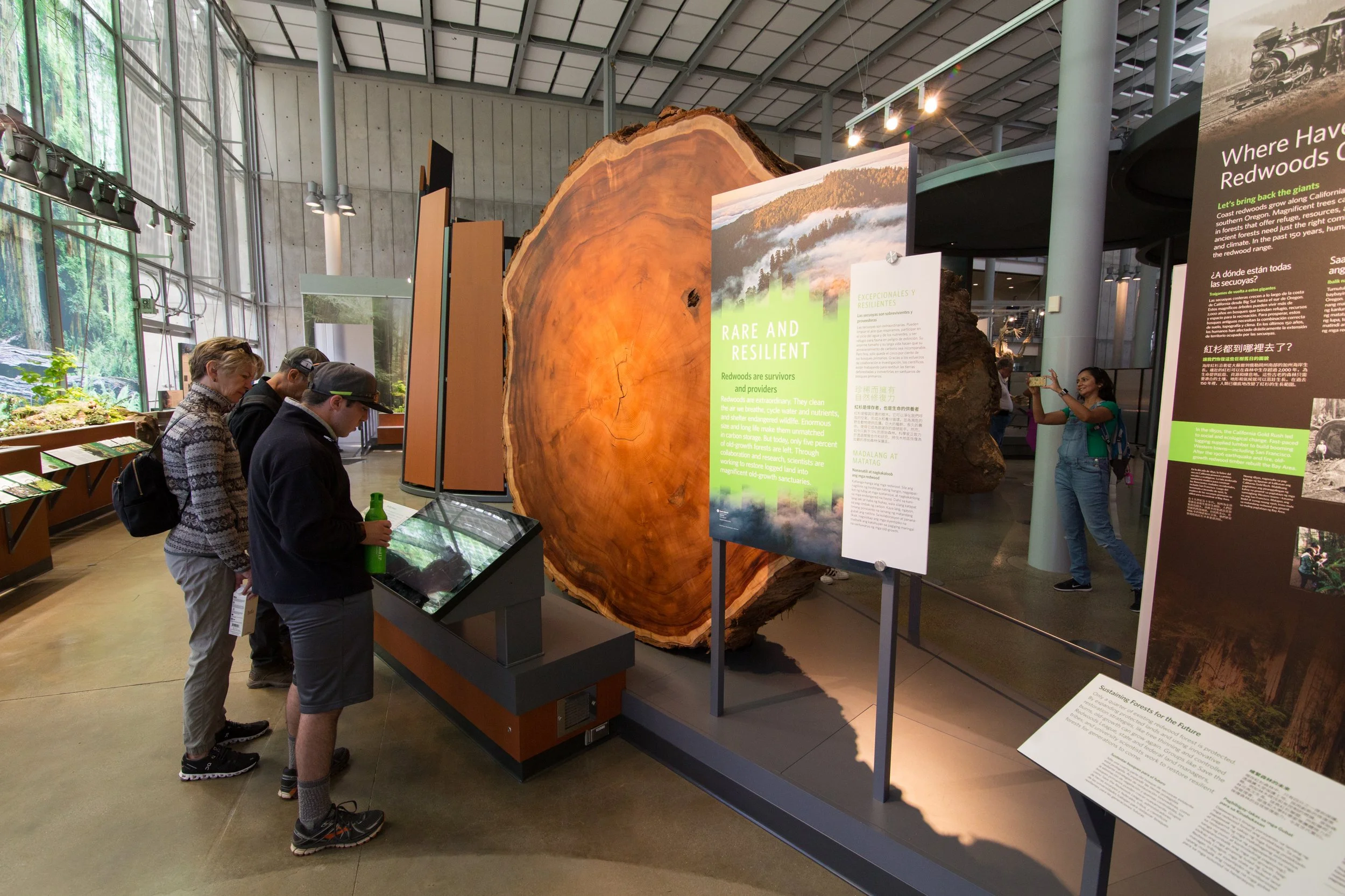 Visitors discovered how scientists examine tree rings to understand California's climatic past.