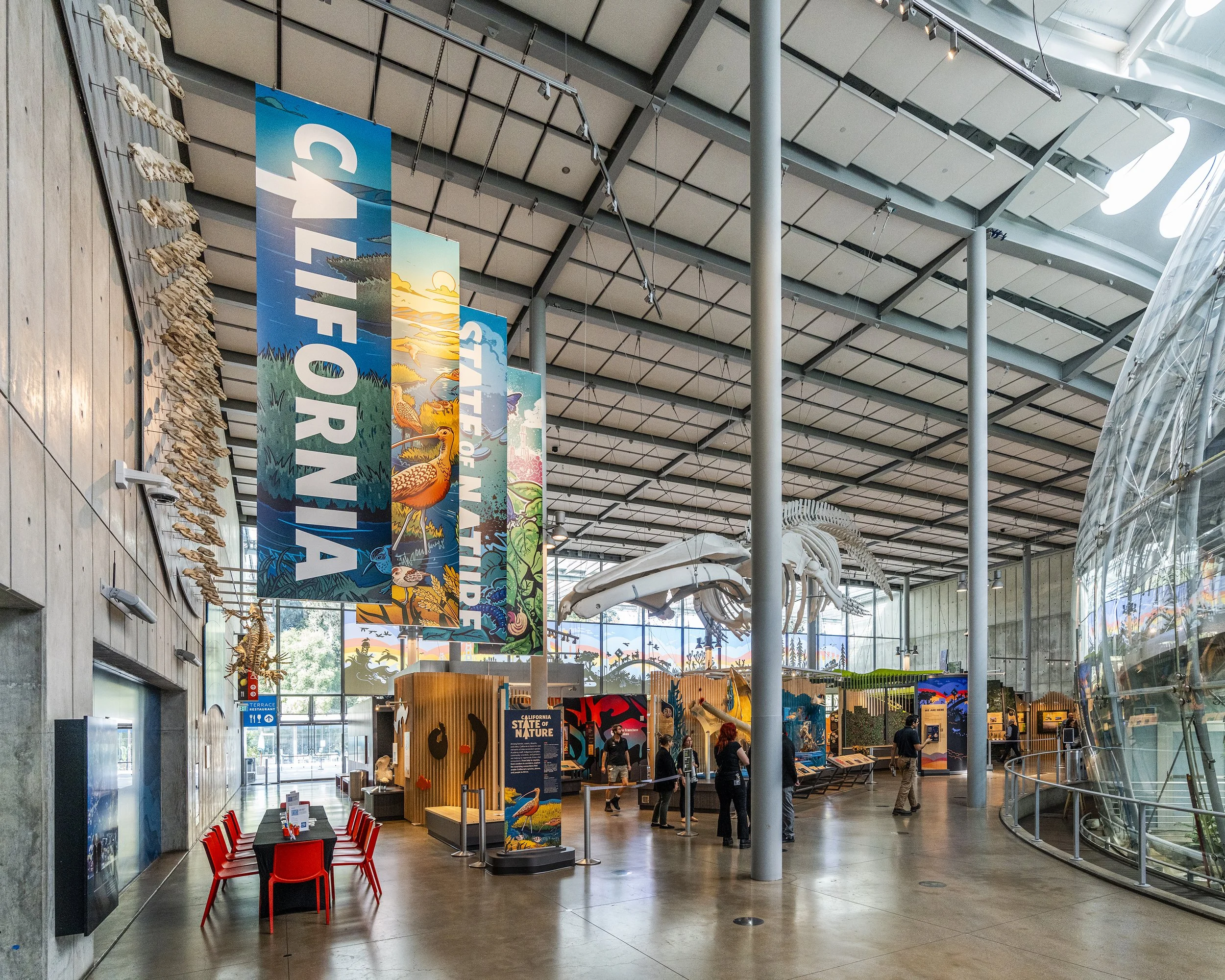The exhibition design works within the constraints of the building: lots of natural light, passive climate control, and a unique structural system.