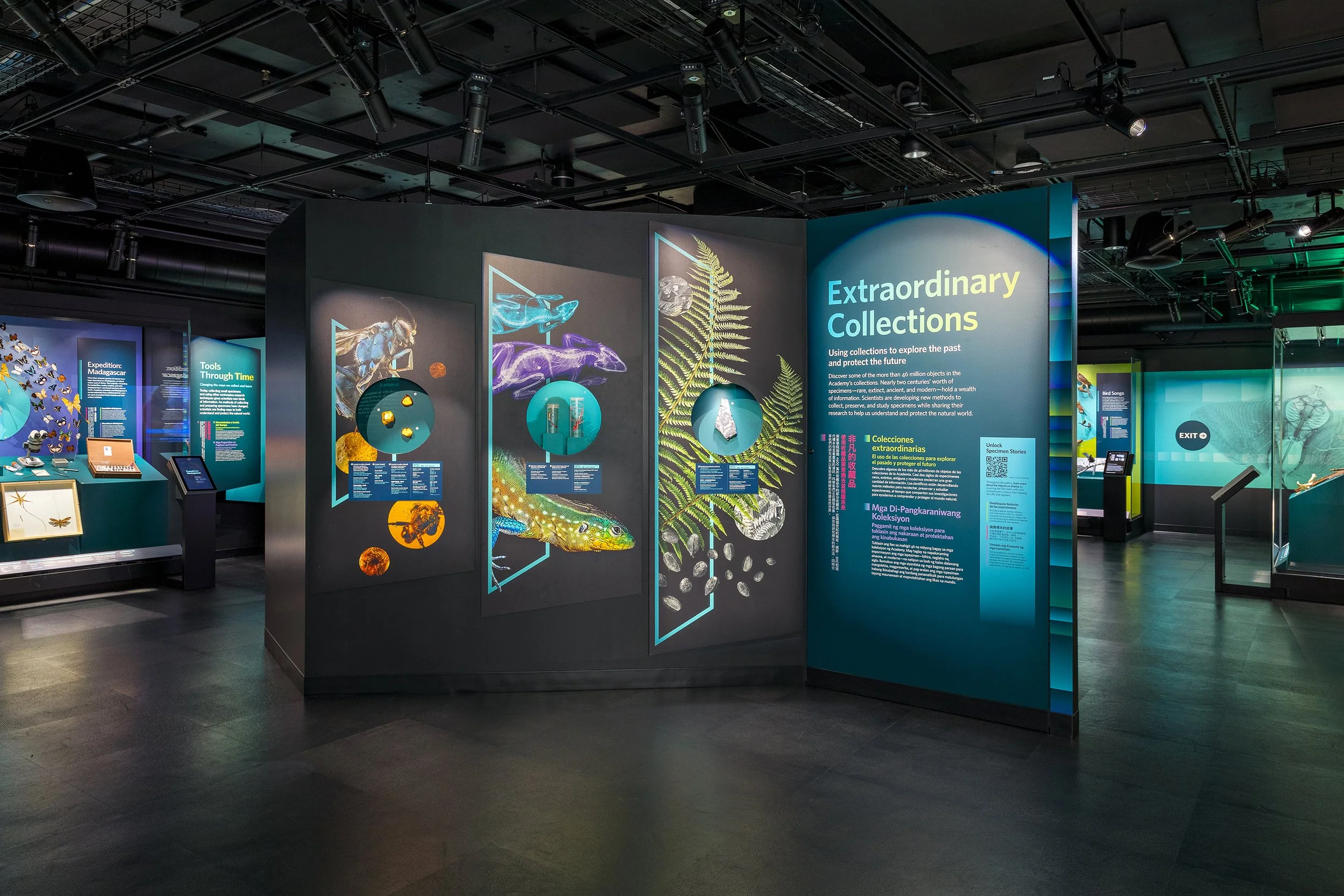 Visual motifs include 'transformational frames' that reveal layers of information hidden within each object.