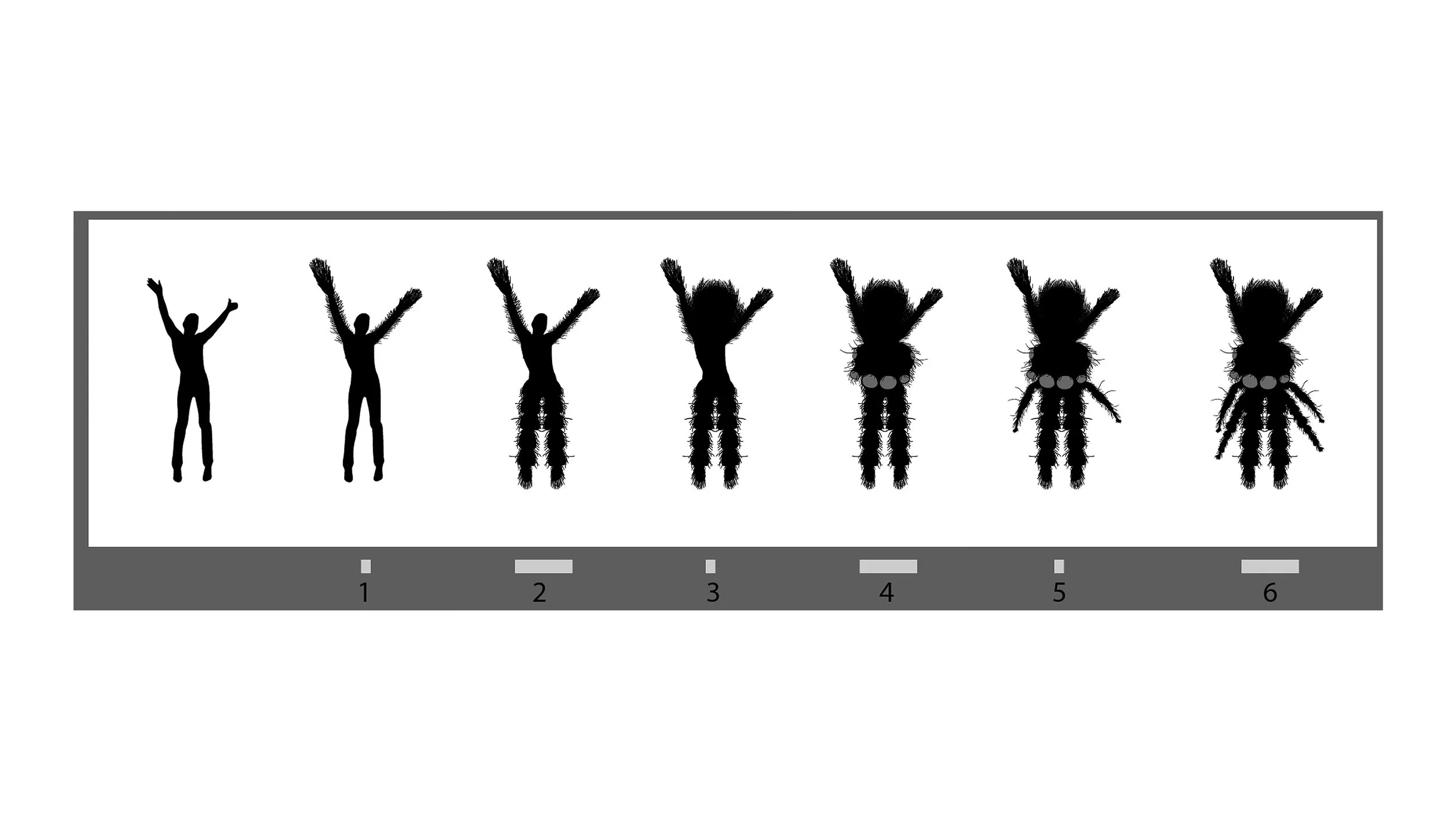 If the visitor strikes the right poses, they will morph into the animal's form. Many tests and iterations of game play and instructions were part of the design process.