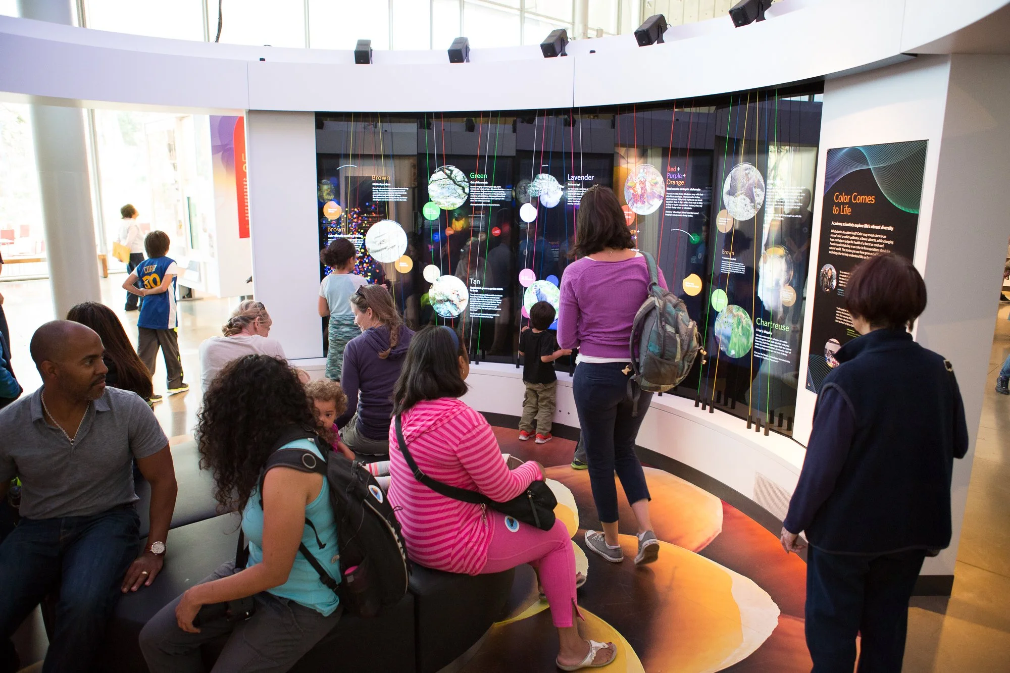 Visitors select and mix colors by plucking strings, discovering surprising stories about how color communicates within and between species.