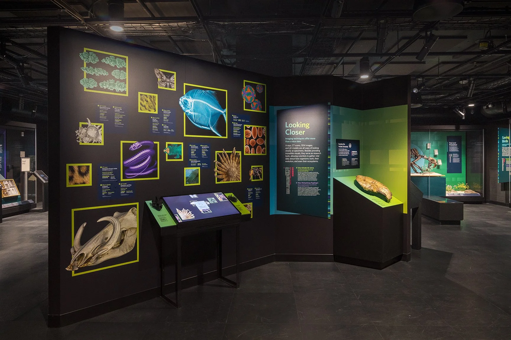 Around each corner, objects are explored in different ways – an invitation to touch or to dive into digital scans. 