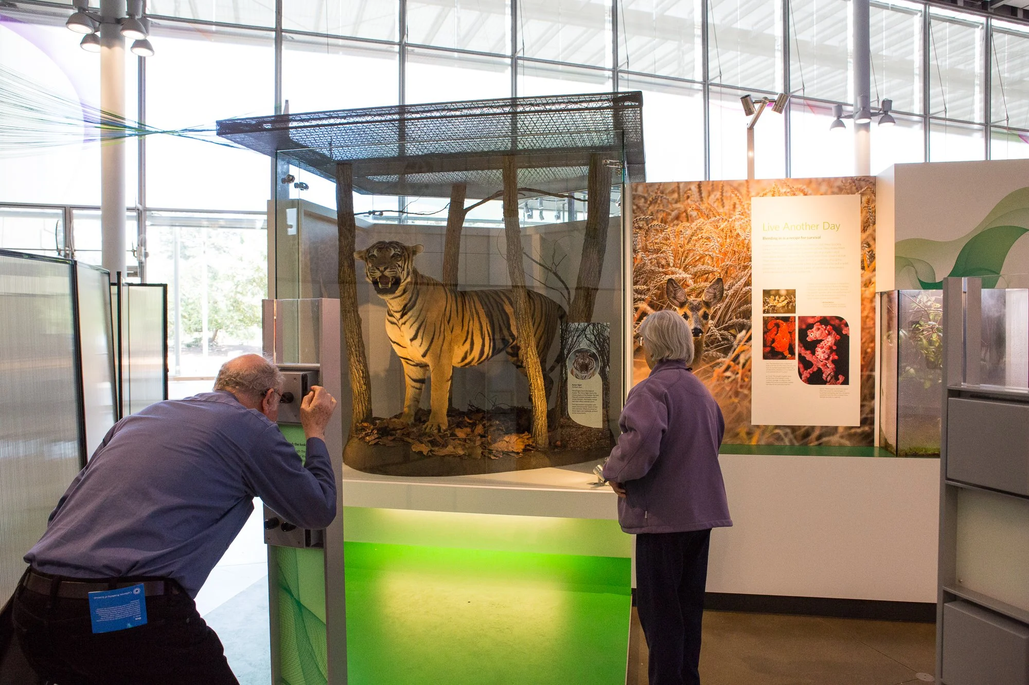Color_of_Life-9702.jpg