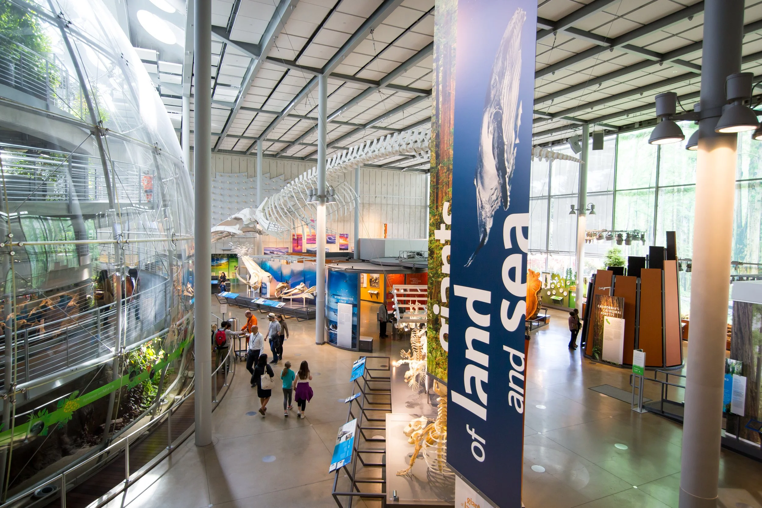 The exhibition used rich colors and materials to define land and sea interpretive areas.